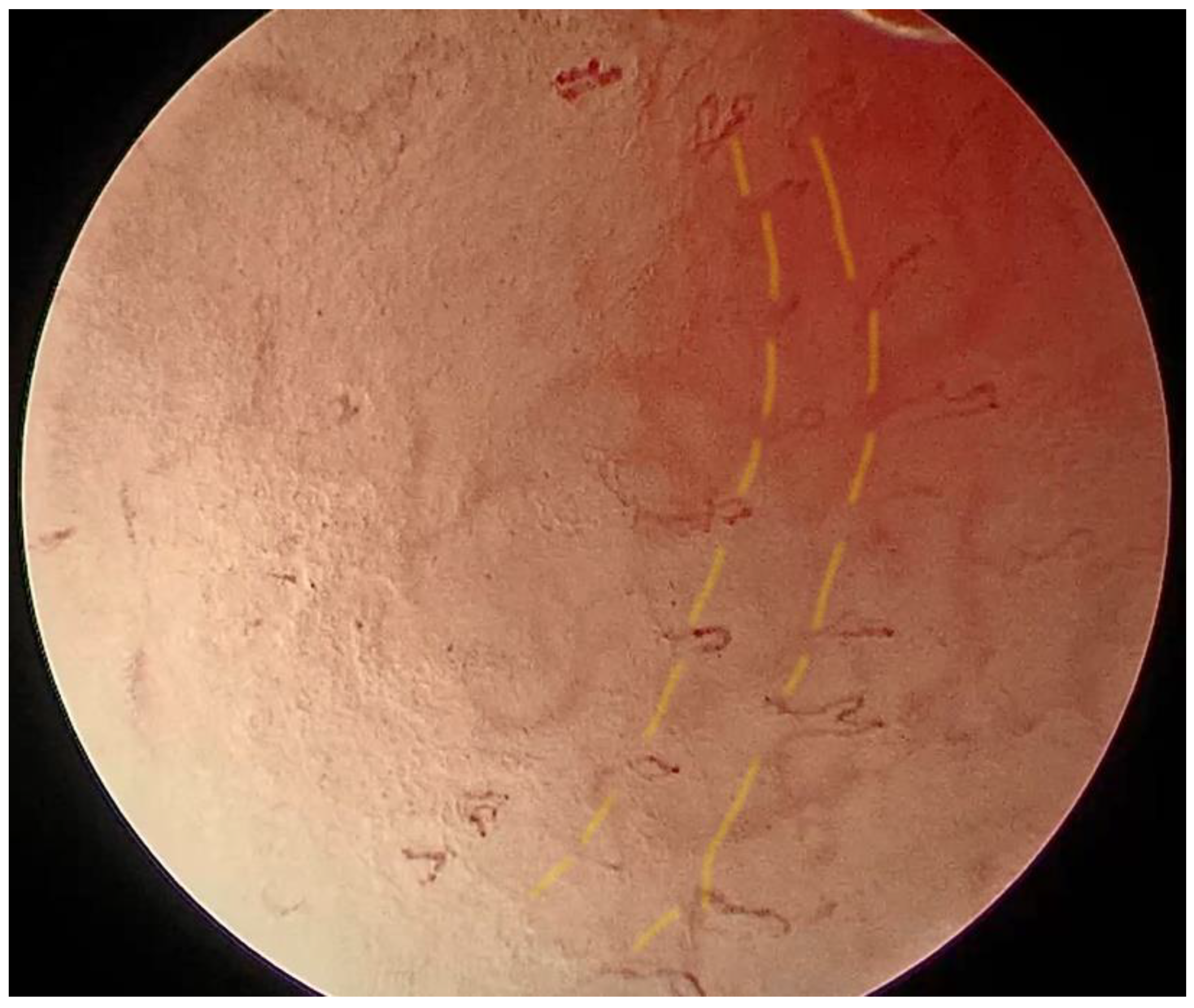Medicina 57 00686 g005 550