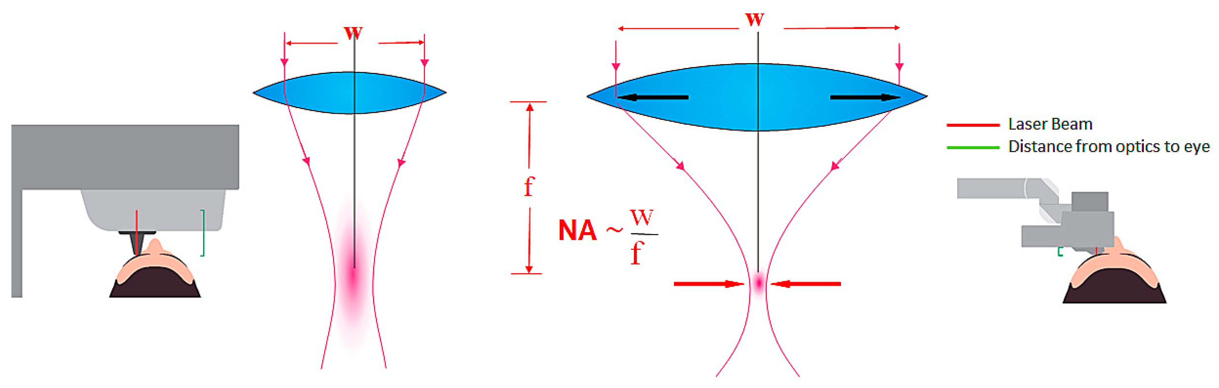 Medicina 57 00700 g002 550