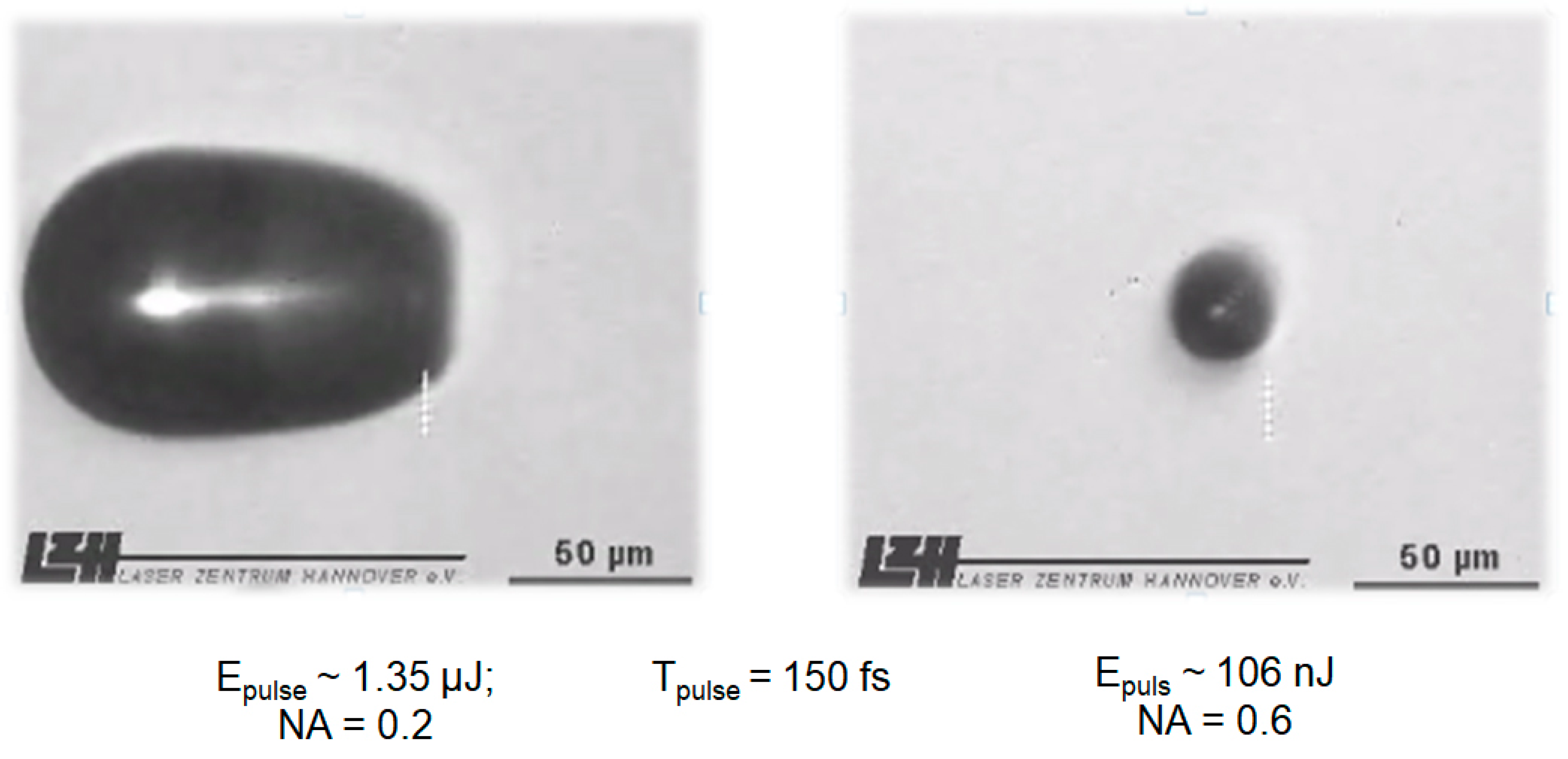 Medicina 57 00700 g003 550