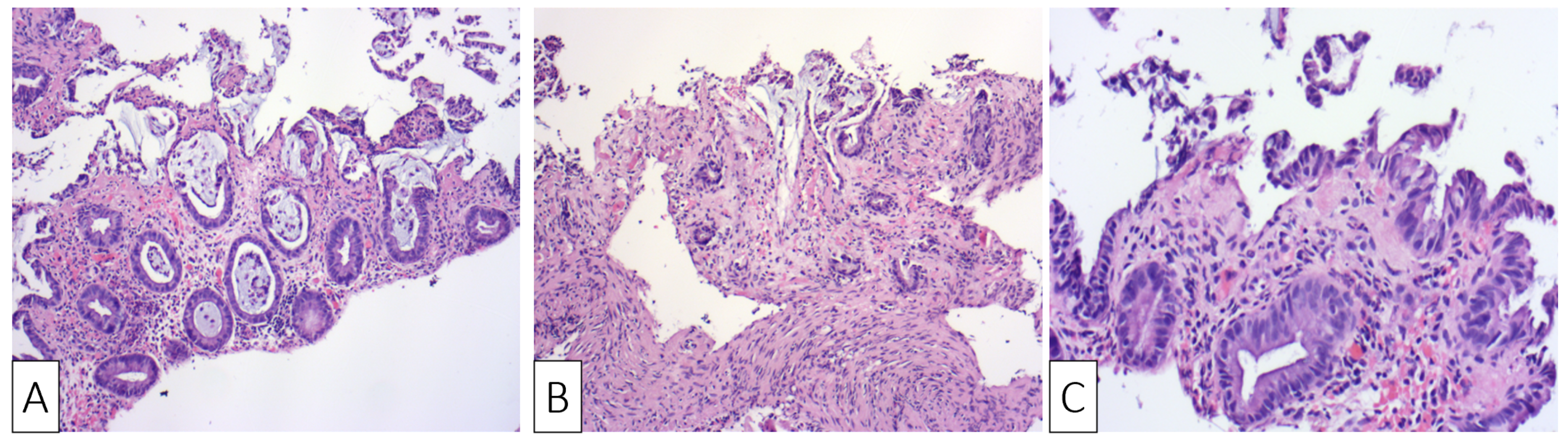 Medicina 57 00705 g002 Medicina 57 00705 g002