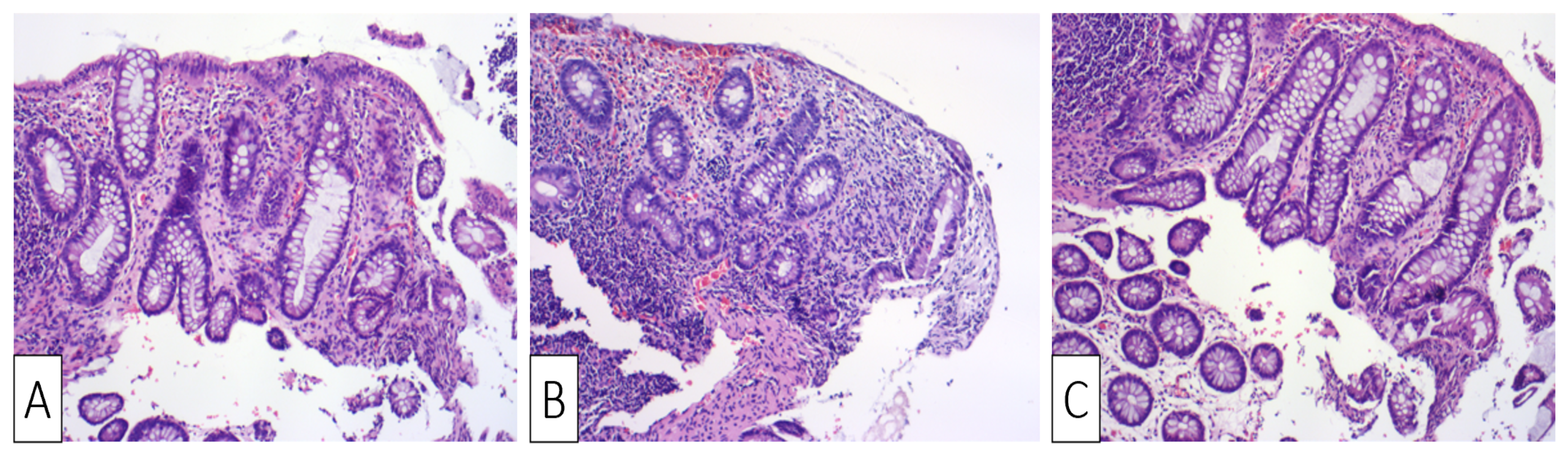 Medicina 57 00705 g004 Medicina 57 00705 g004