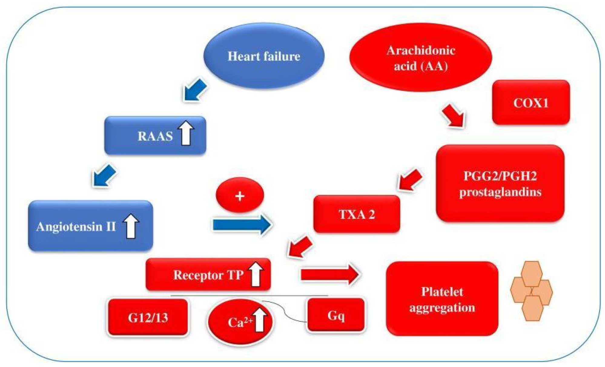 Medicina 57 00706 g003