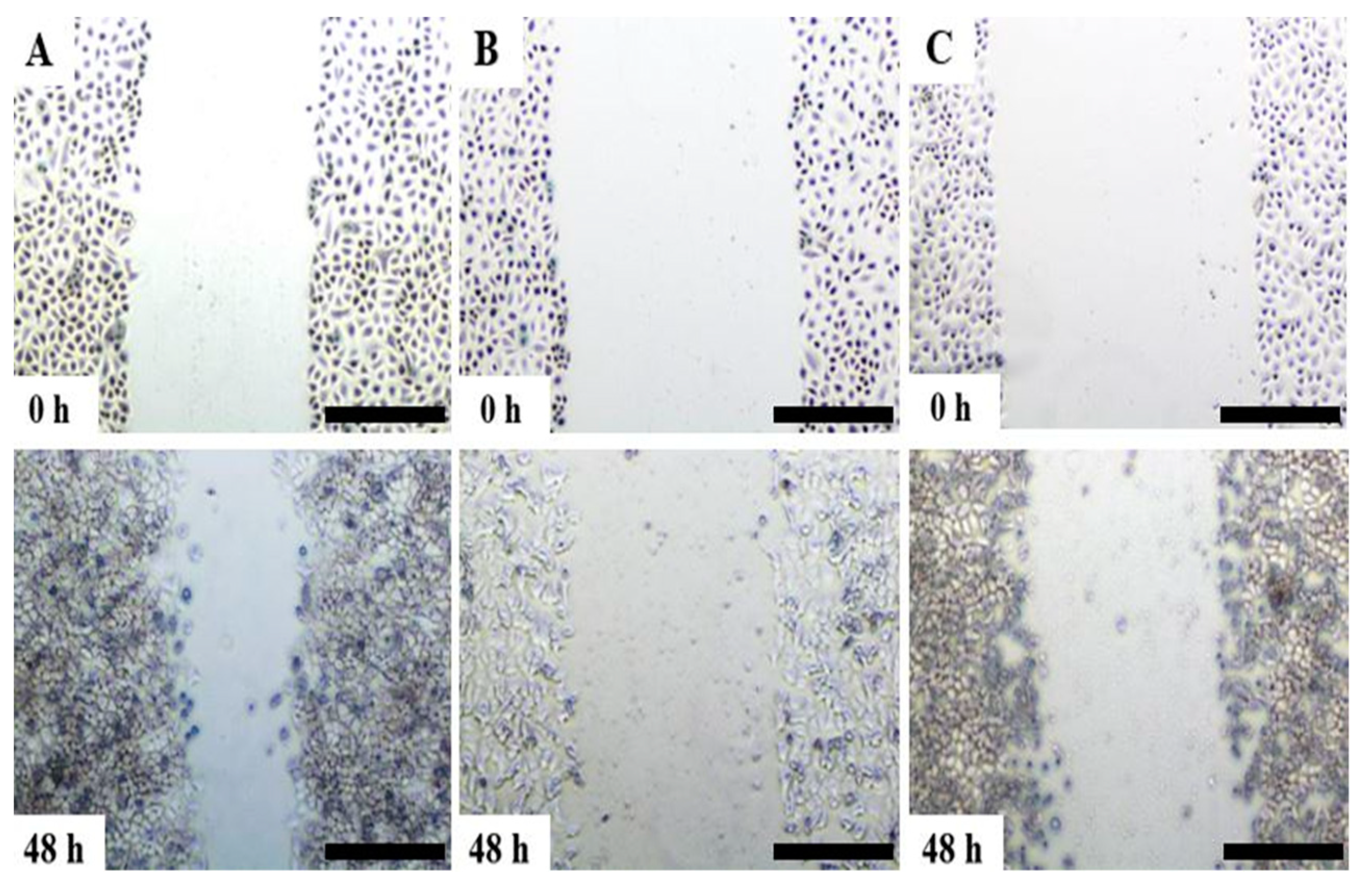 Medicina 57 00710 g002