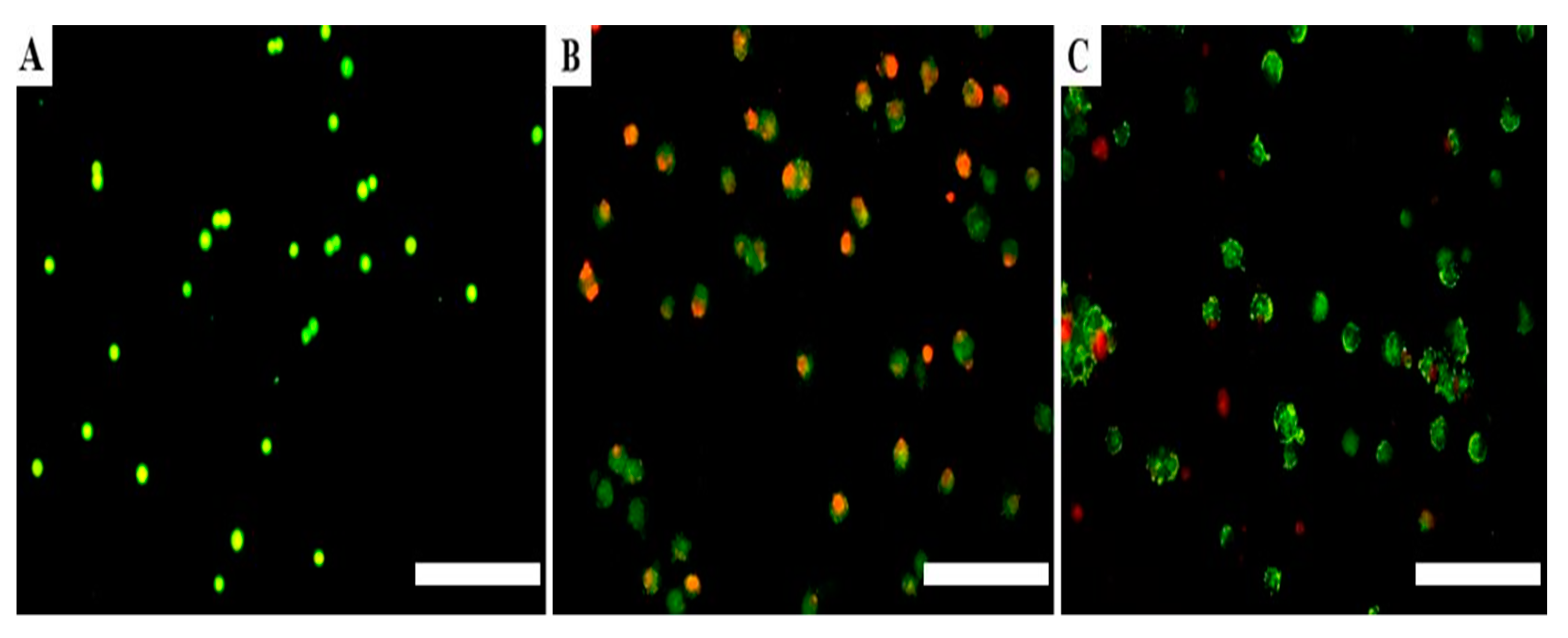 Medicina 57 00710 g004