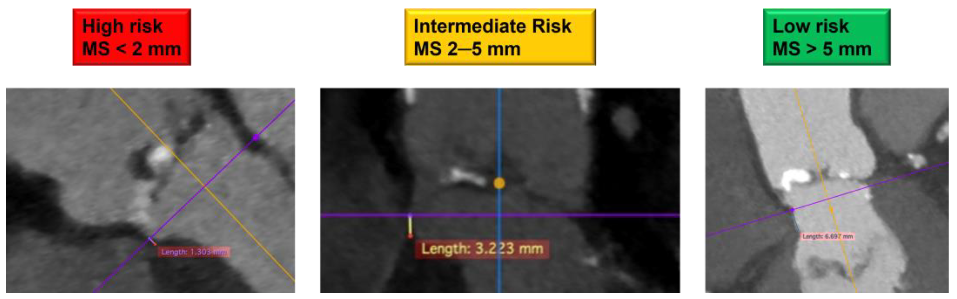 Medicina 57 00711 g004