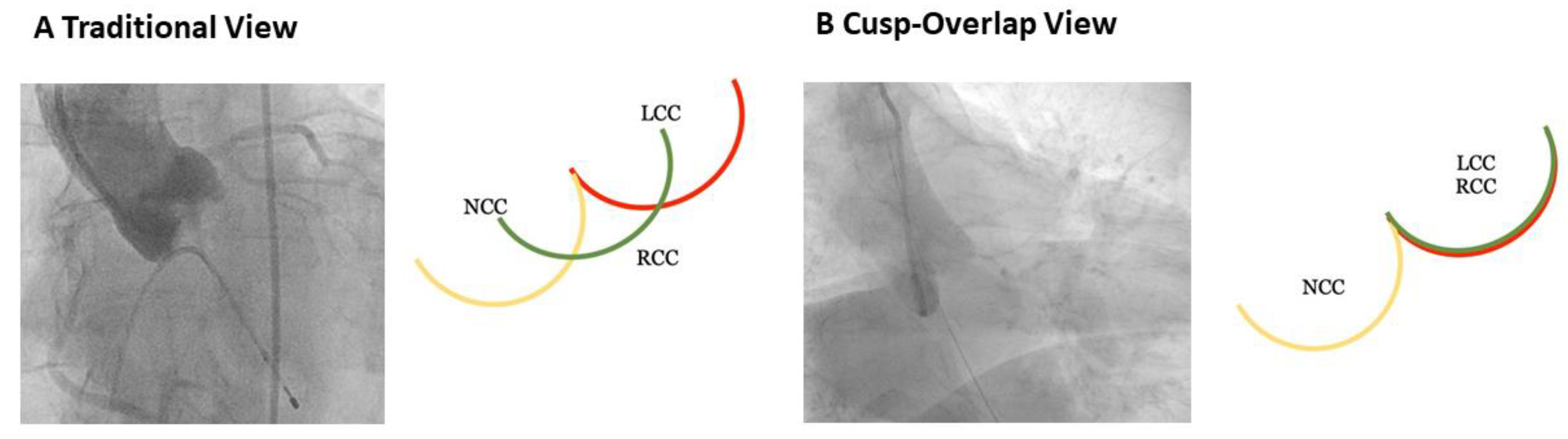 Medicina 57 00711 g005