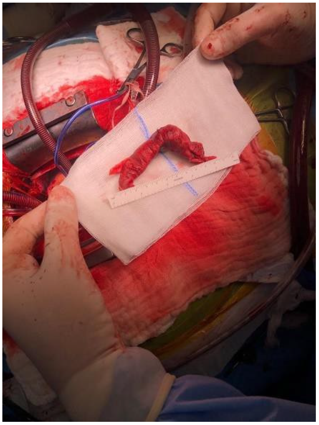 Medicina 57 00725 g001