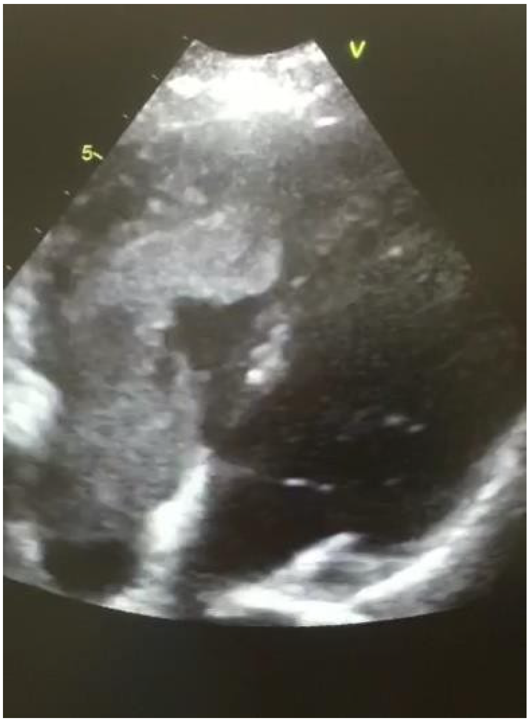 Medicina 57 00725 g002