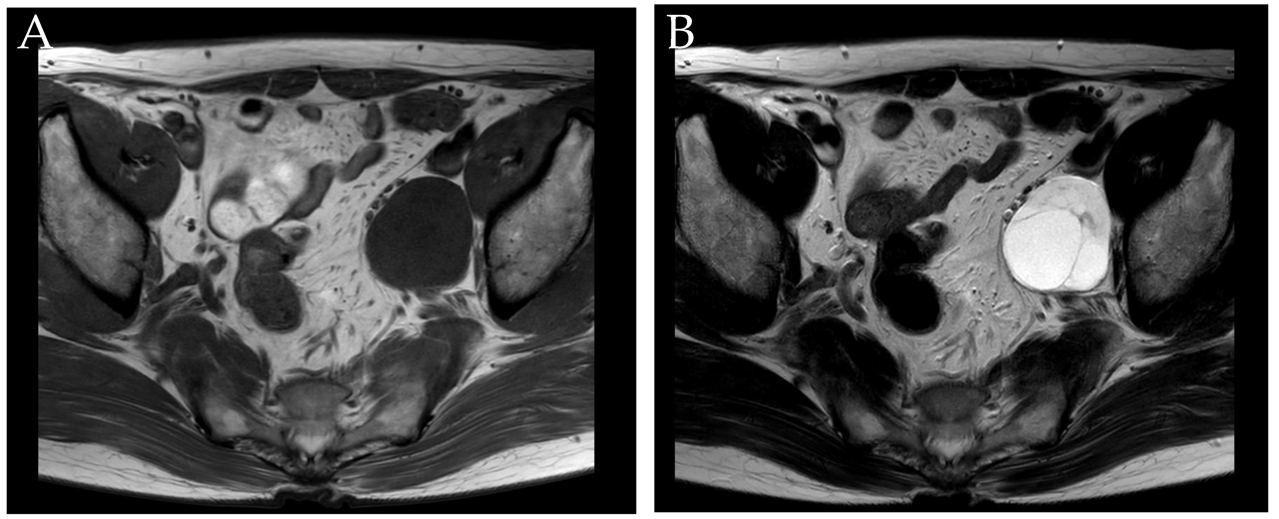 Medicina 57 00728 g001