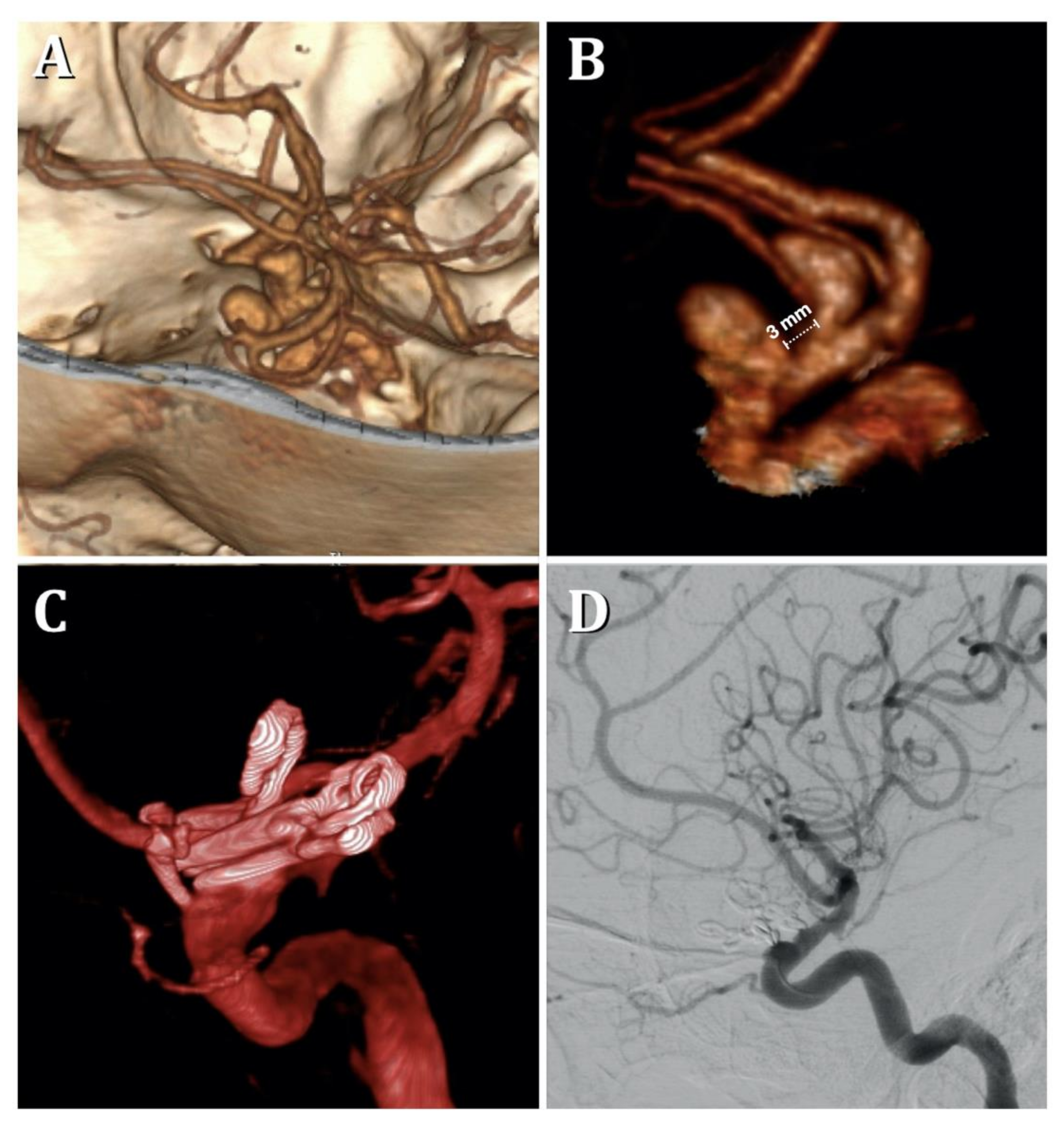 Medicina 57 00731 g001 Medicina 57 00731 g001