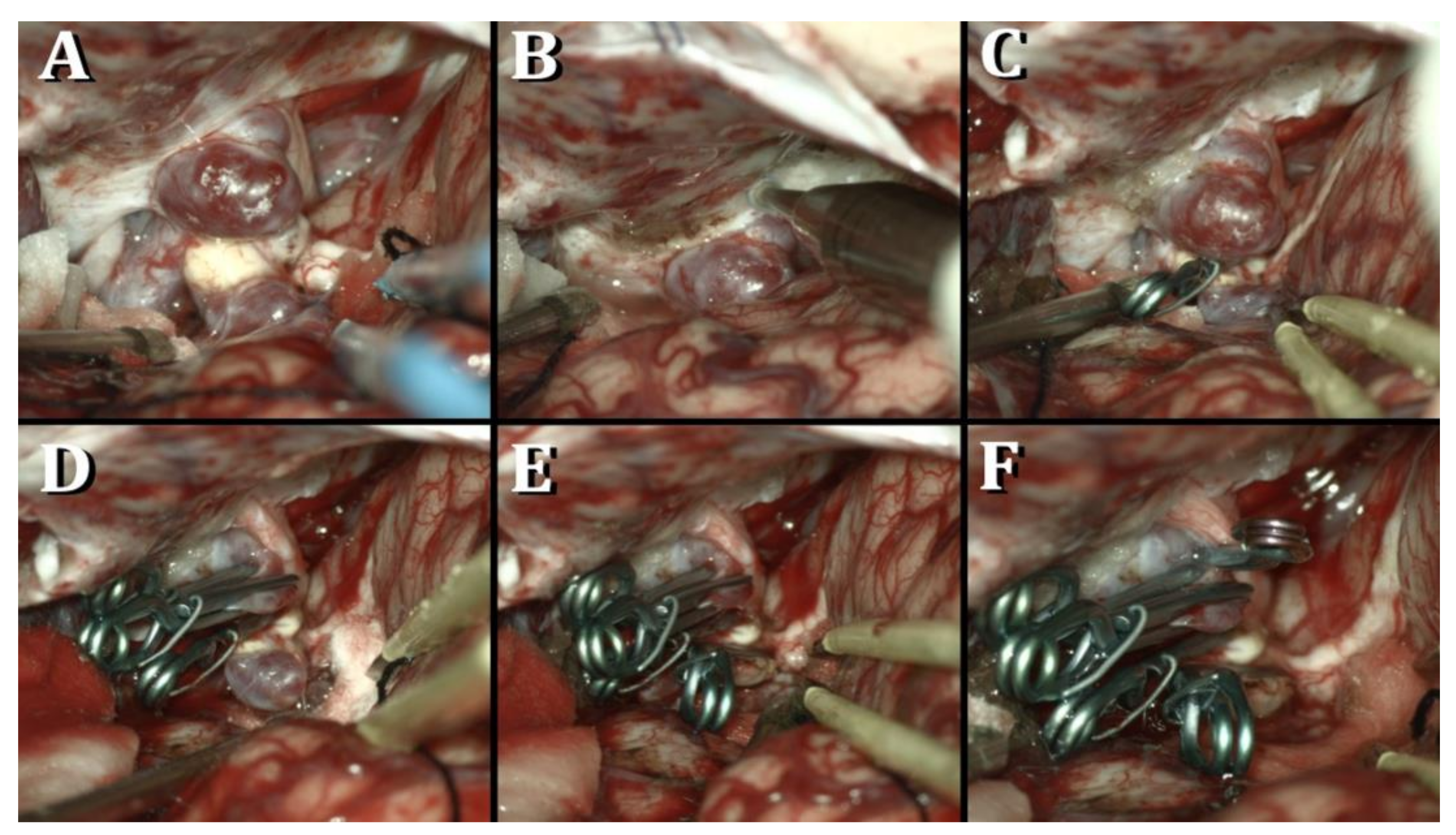 Medicina 57 00731 g002 Medicina 57 00731 g002