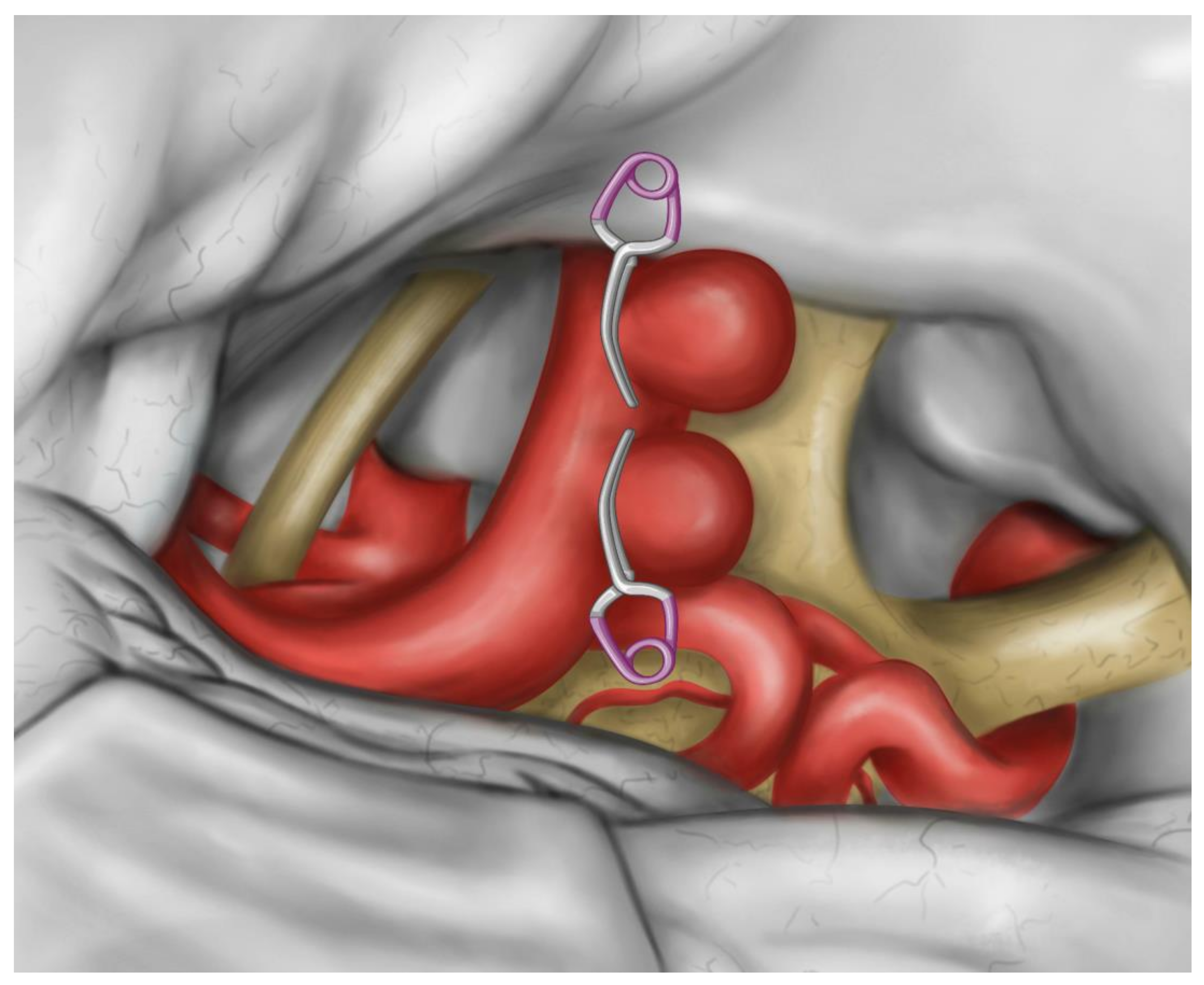 Medicina 57 00731 g003 Medicina 57 00731 g003