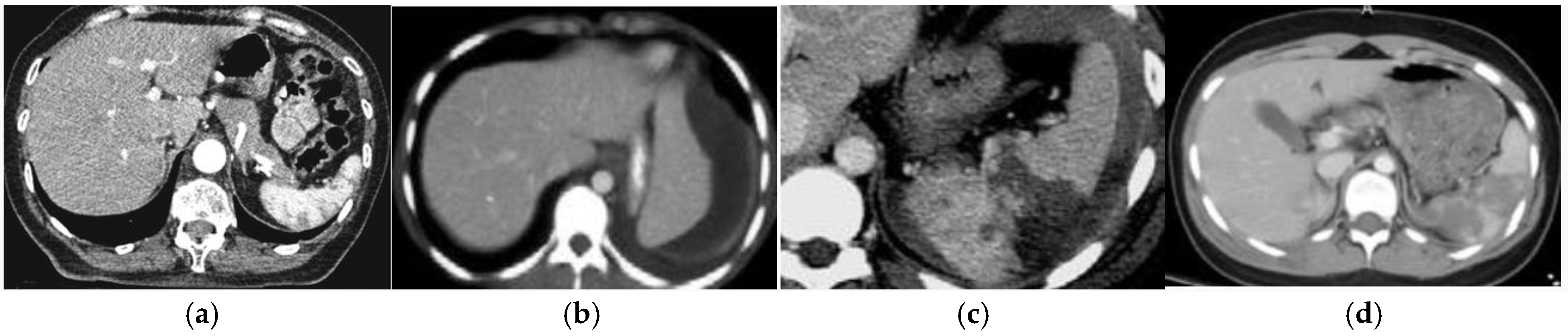 Medicina 57 00734 g001 550