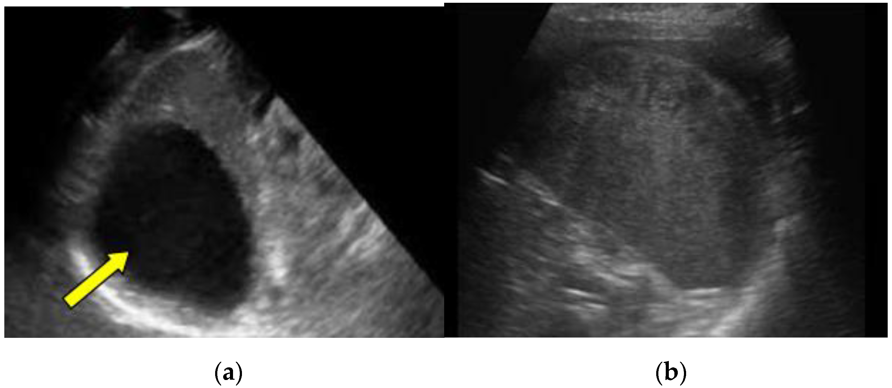 Medicina 57 00734 g002 550