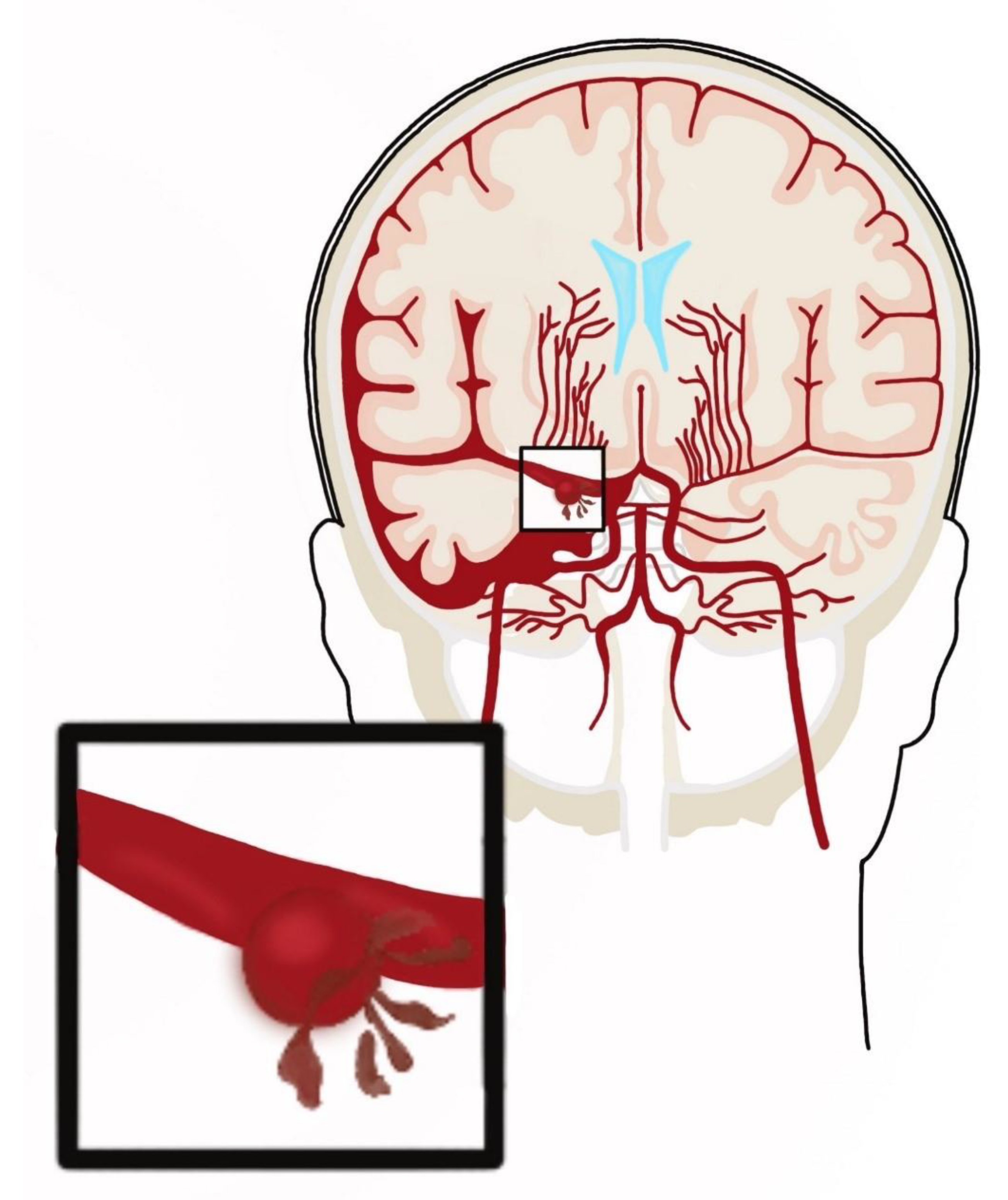 Medicina 57 00735 g002