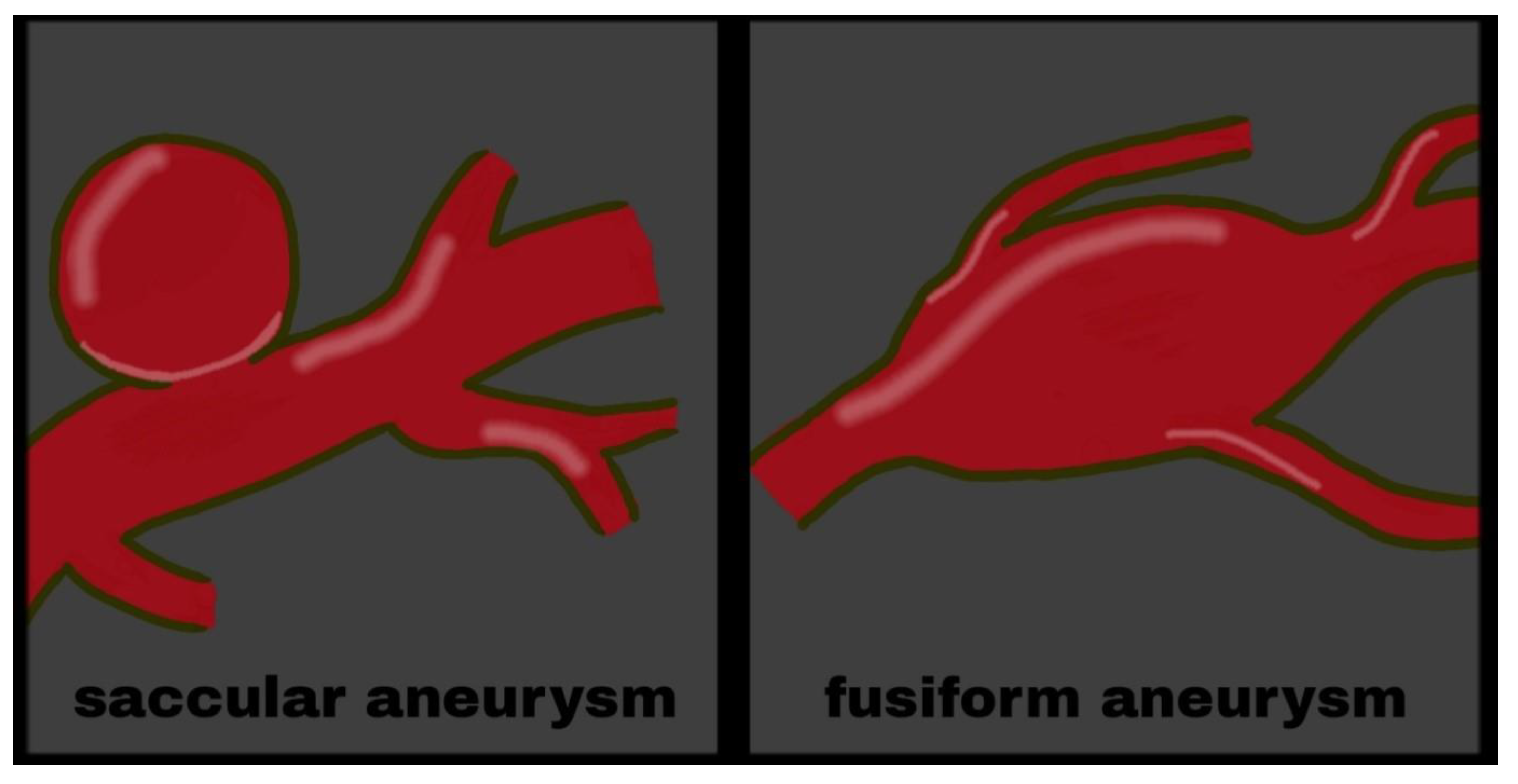 Medicina 57 00735 g003