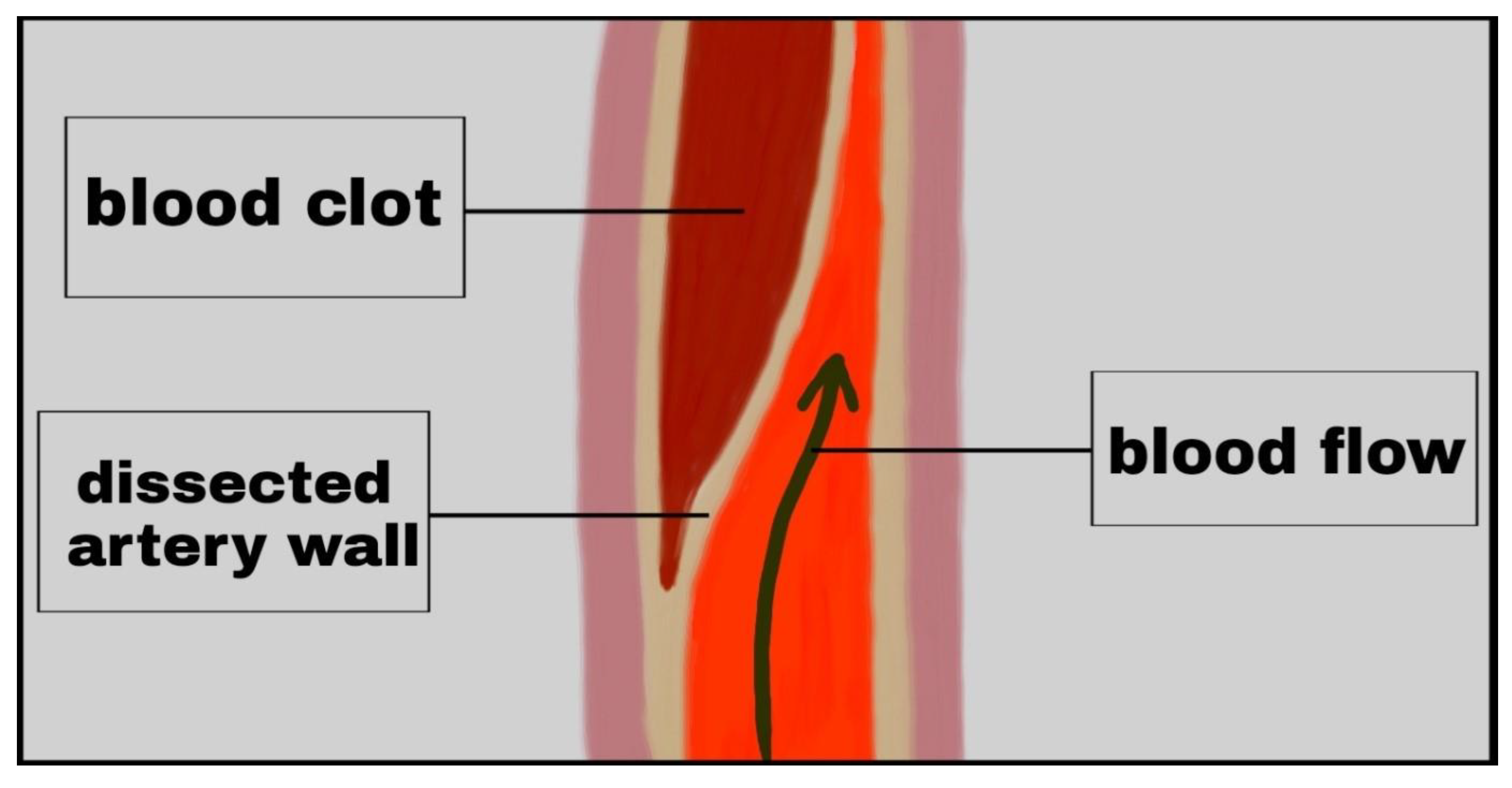 Medicina 57 00735 g004