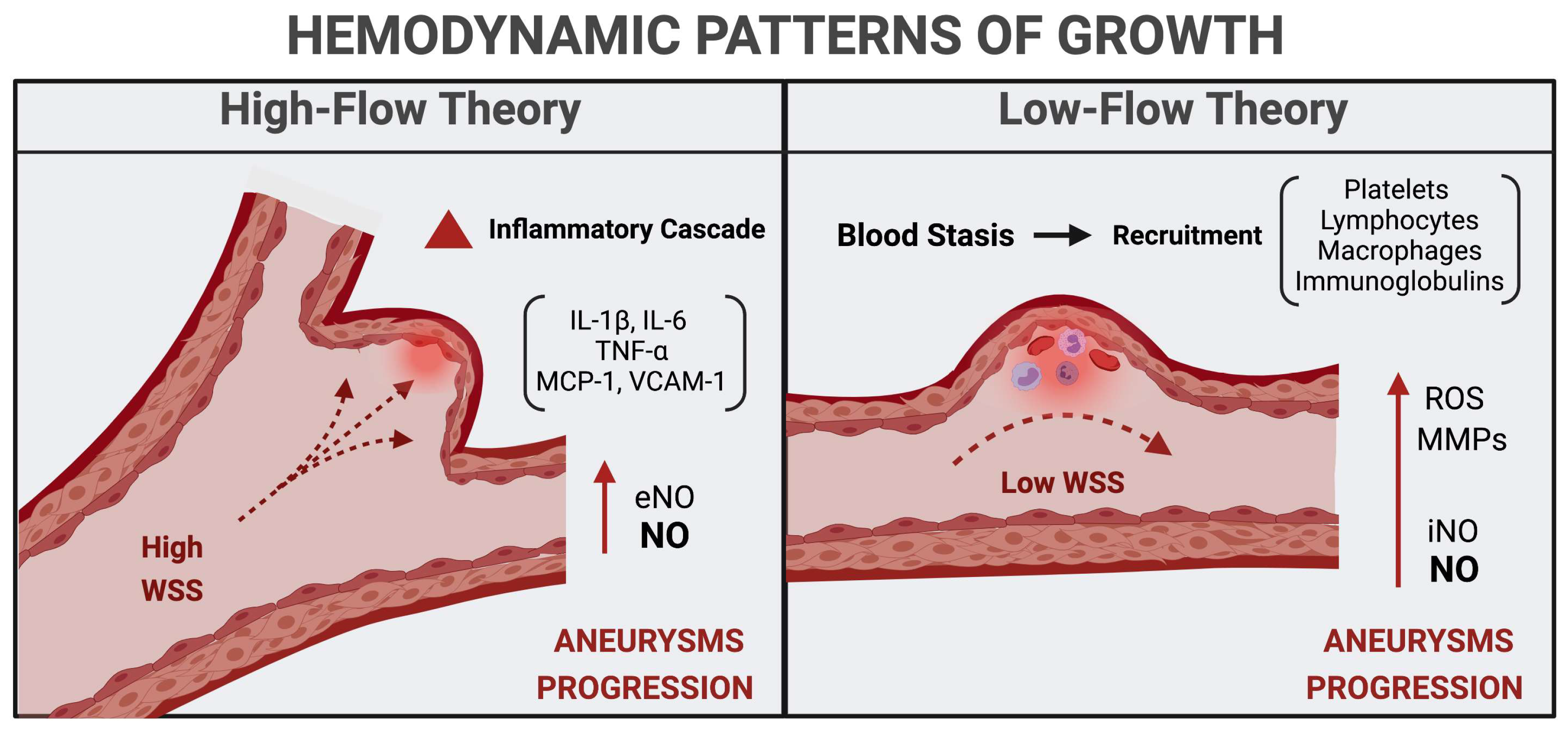 Medicina 57 00742 g002