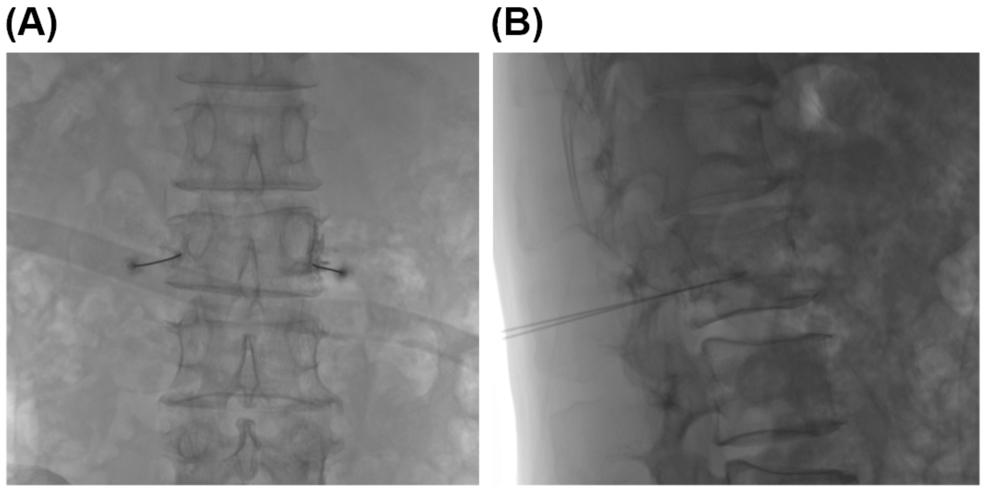 Medicina 57 00744 g002 550