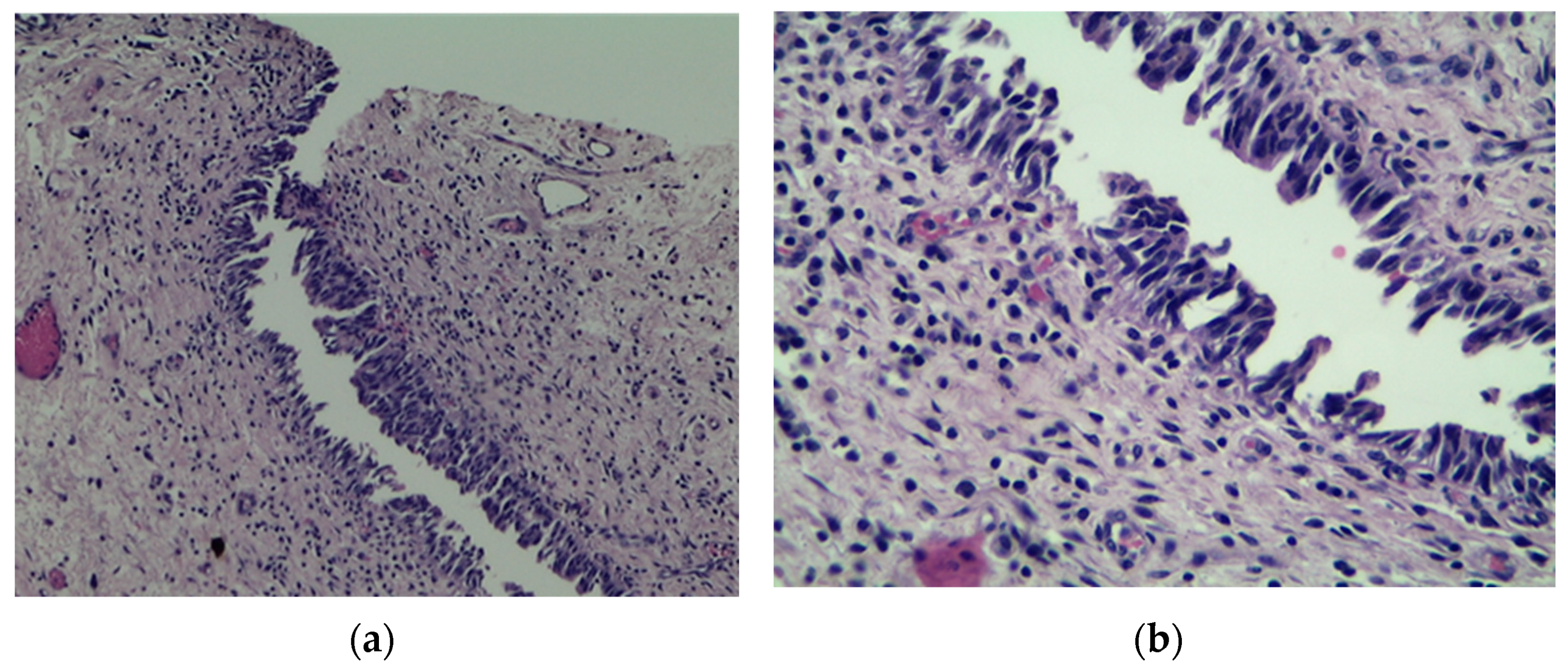 Medicina 57 00749 g002