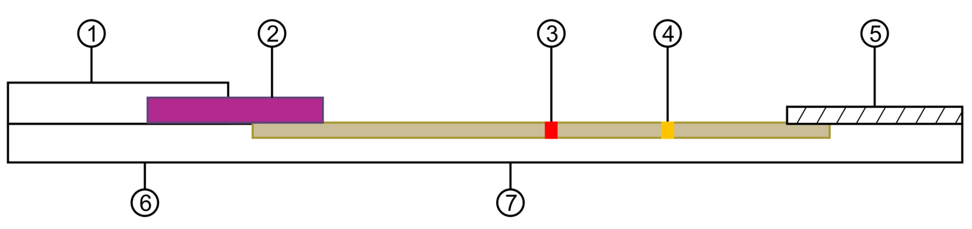 Medicina 57 00751 g001 Medicina 57 00751 g001