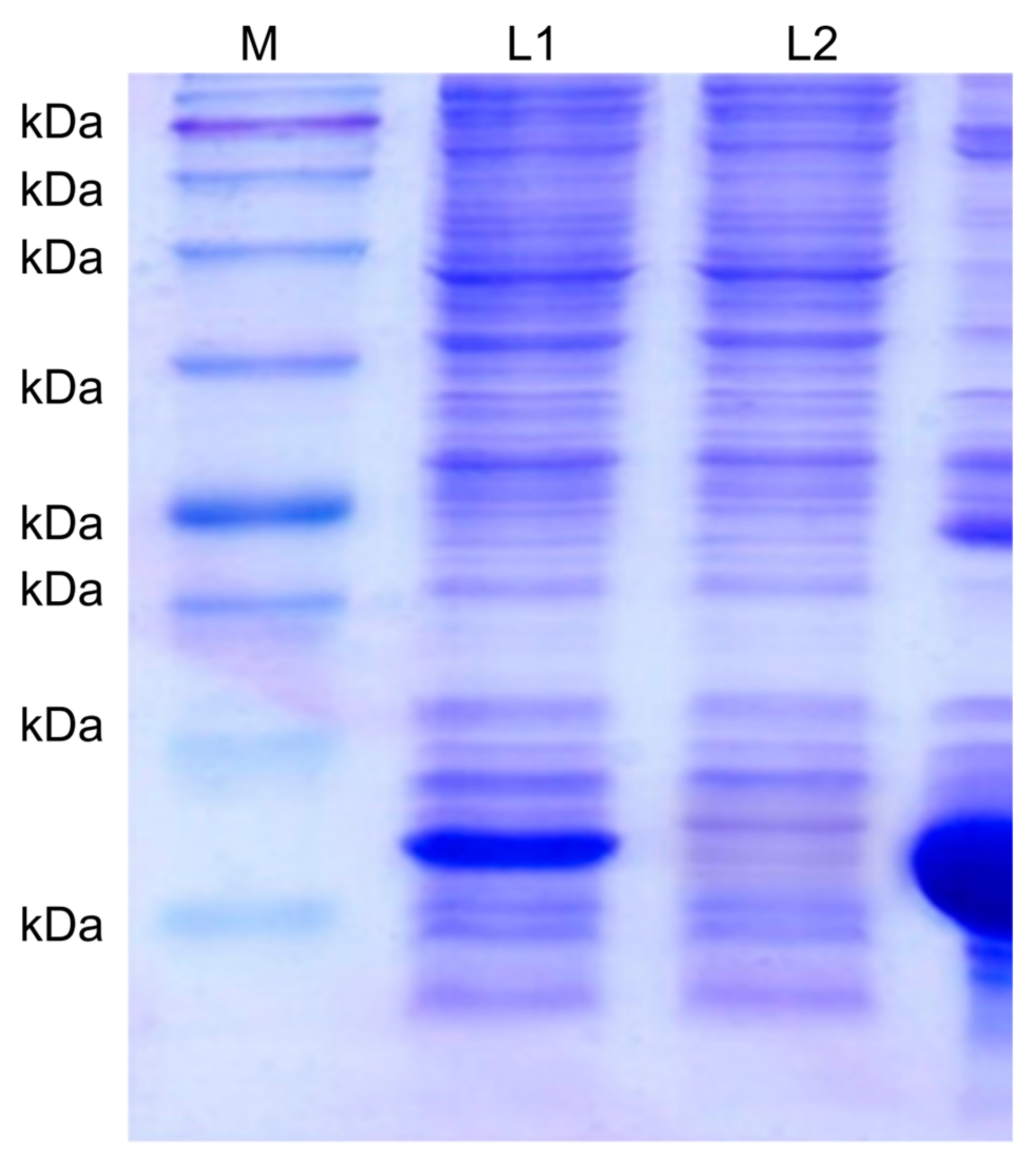 Medicina 57 00751 g003 Medicina 57 00751 g003