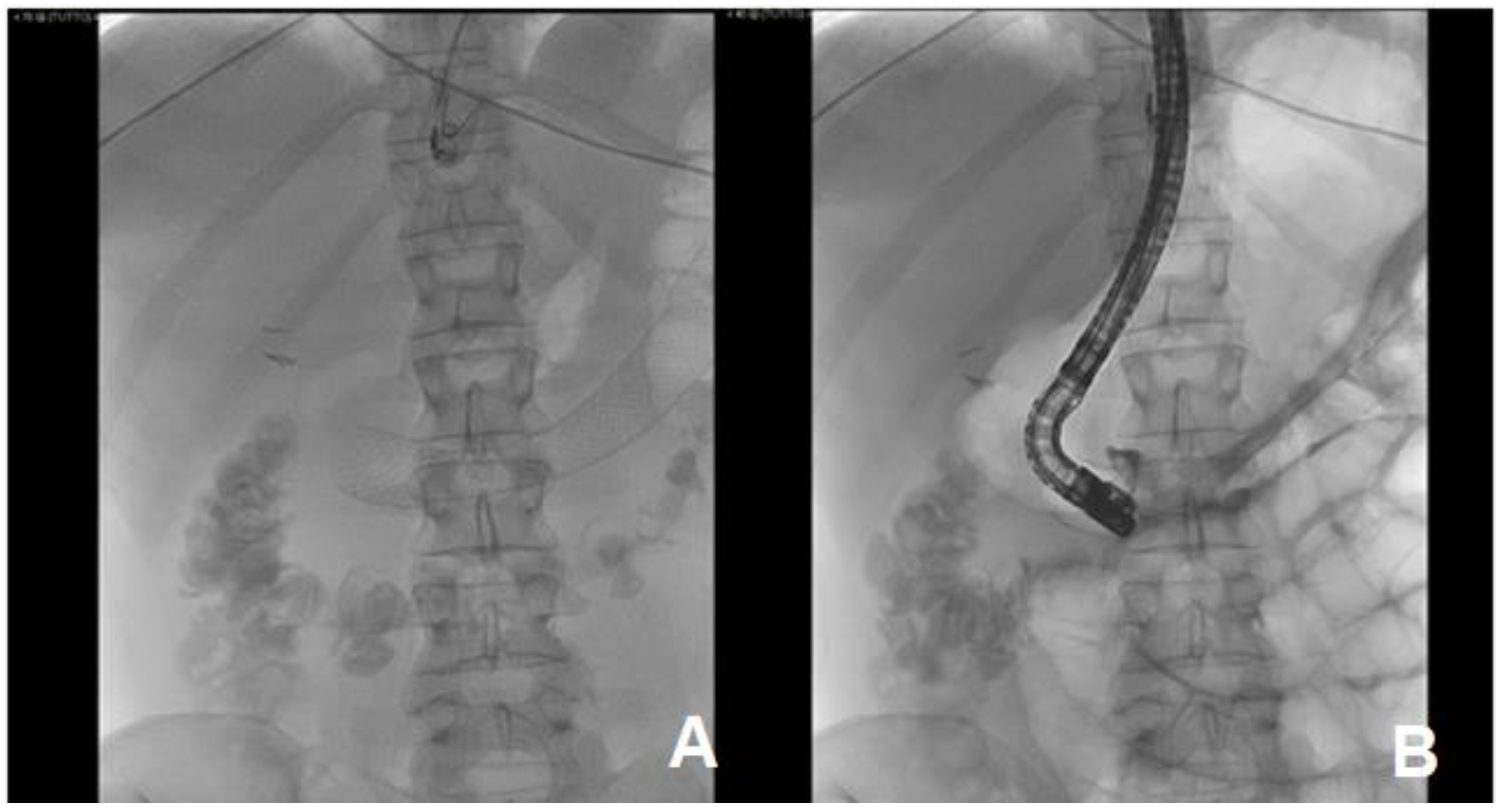 Medicina 57 00765 g004 550