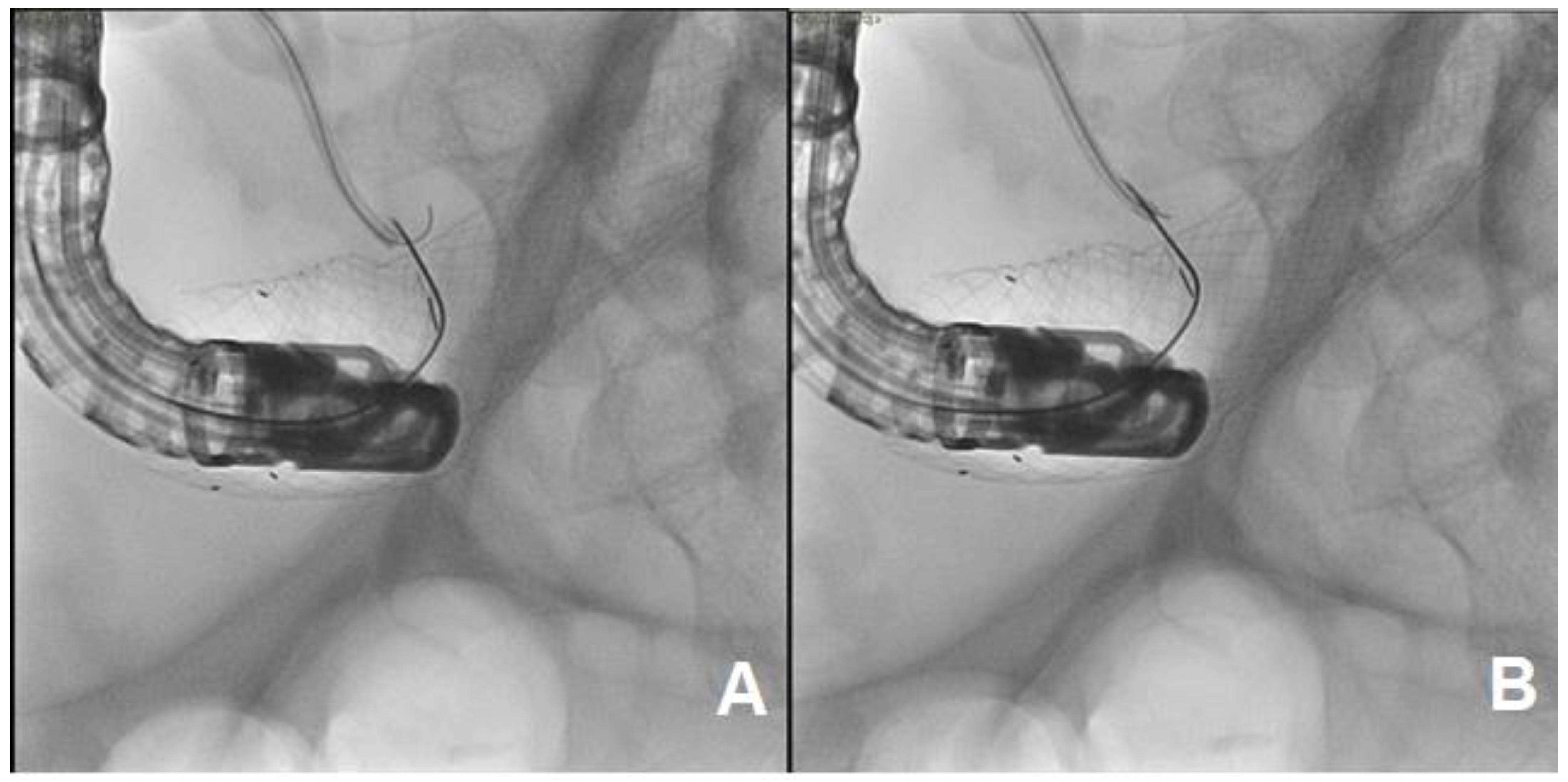 Medicina 57 00765 g006 550