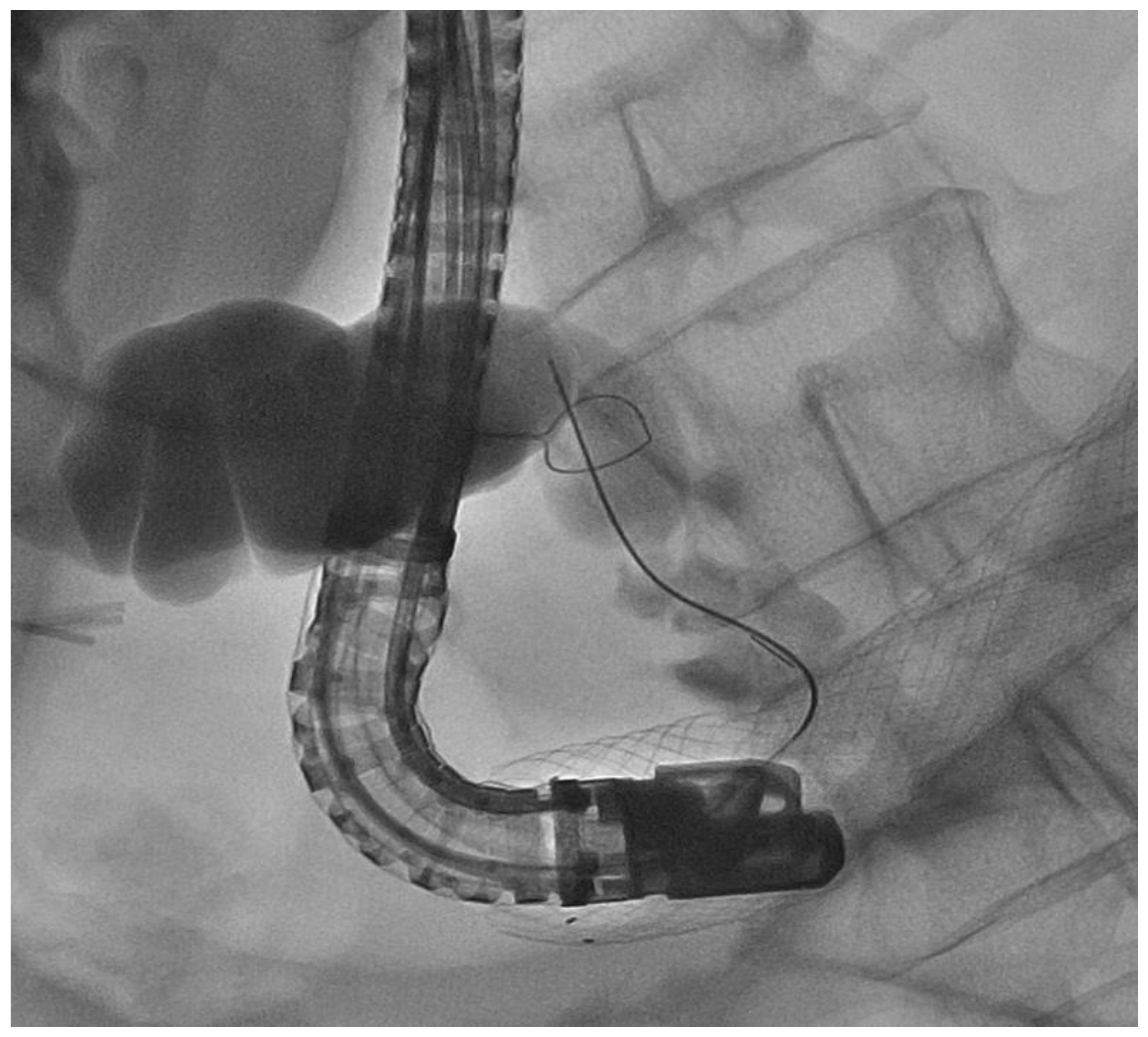 Medicina 57 00765 g007 550