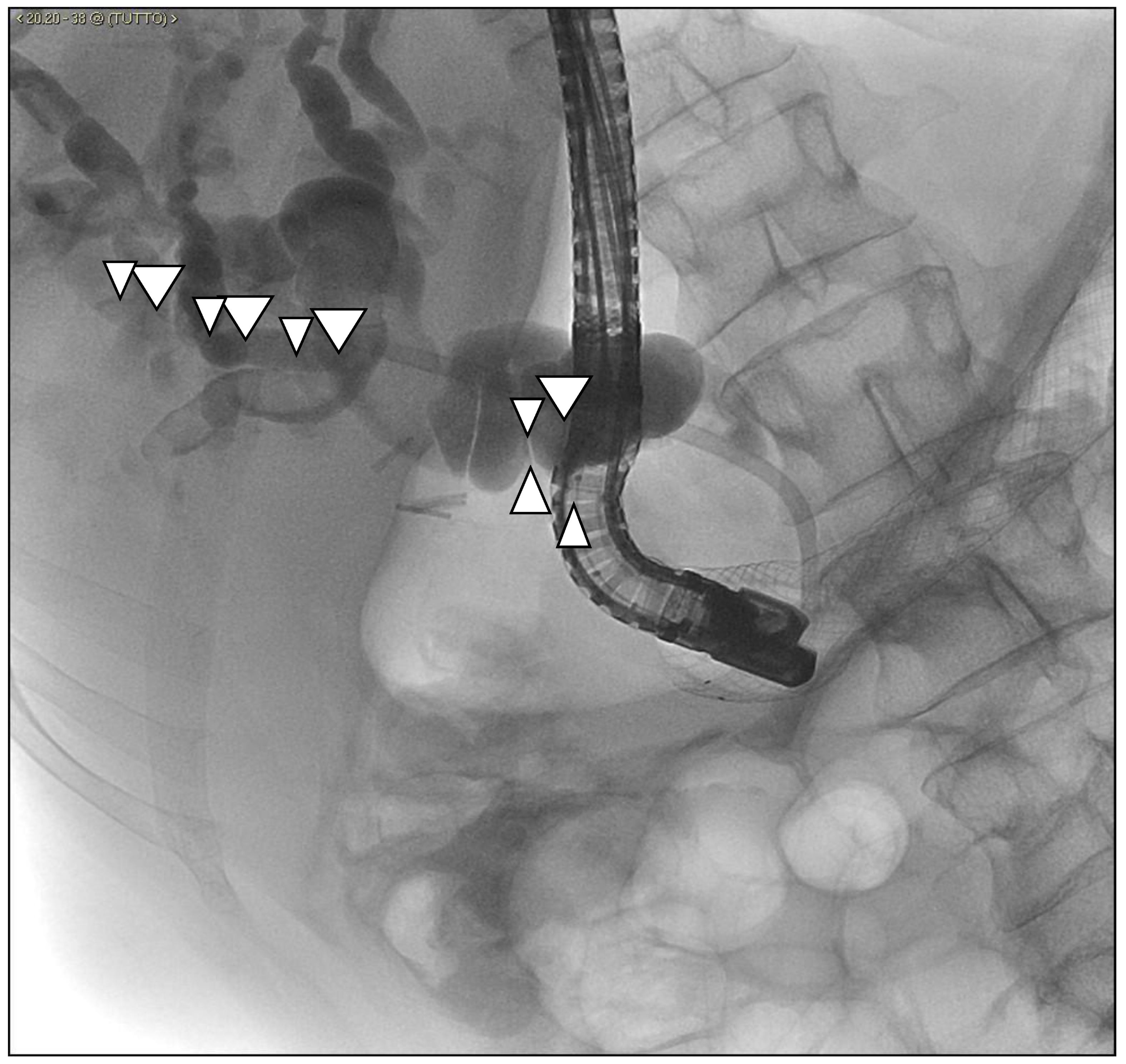 Medicina 57 00765 g008 550