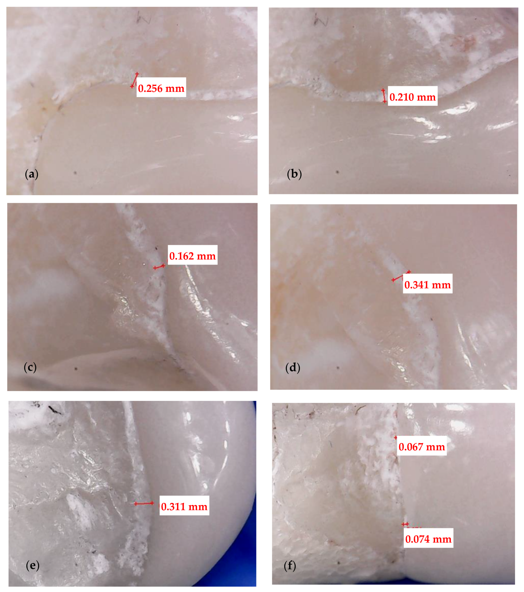 Medicina 57 00772 g004 550