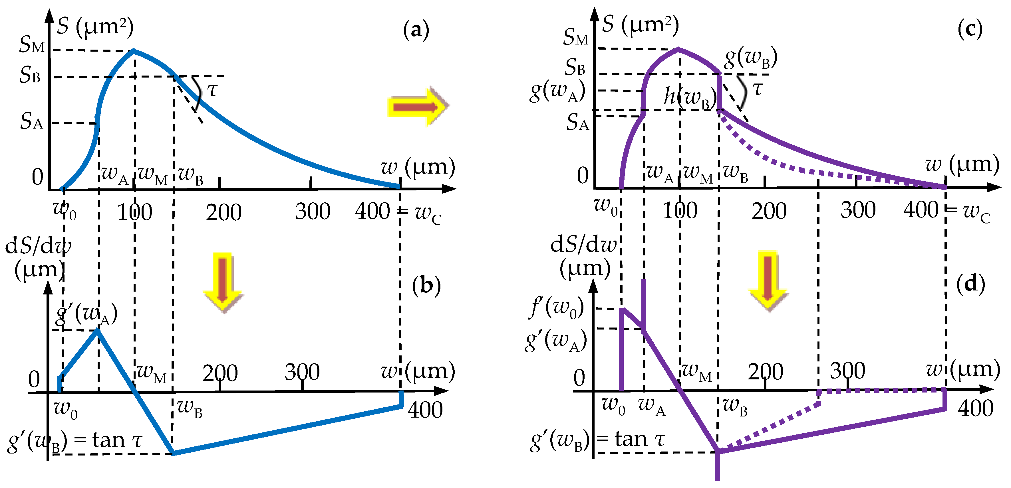 Medicina 57 00772 g016 550