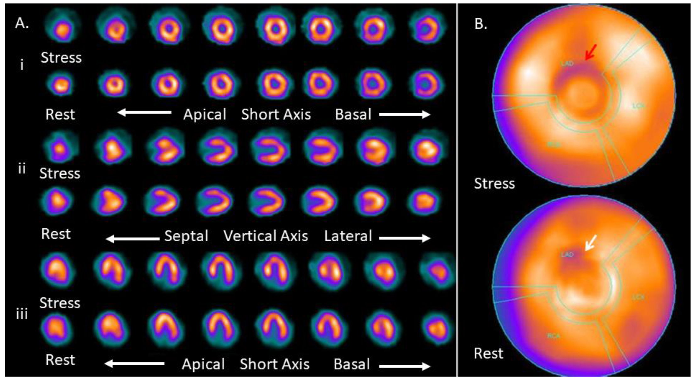 Medicina 57 00774 g001 Medicina 57 00774 g001