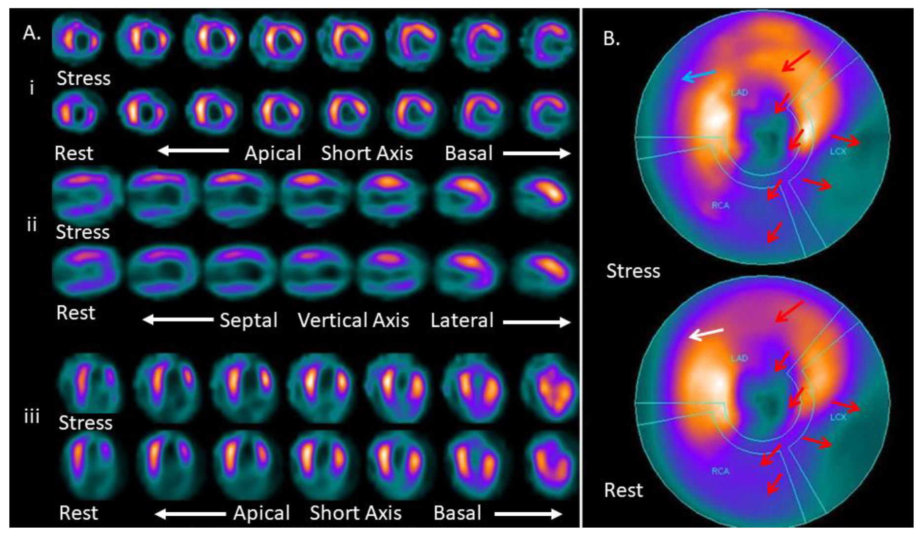 Medicina 57 00774 g002 Medicina 57 00774 g002
