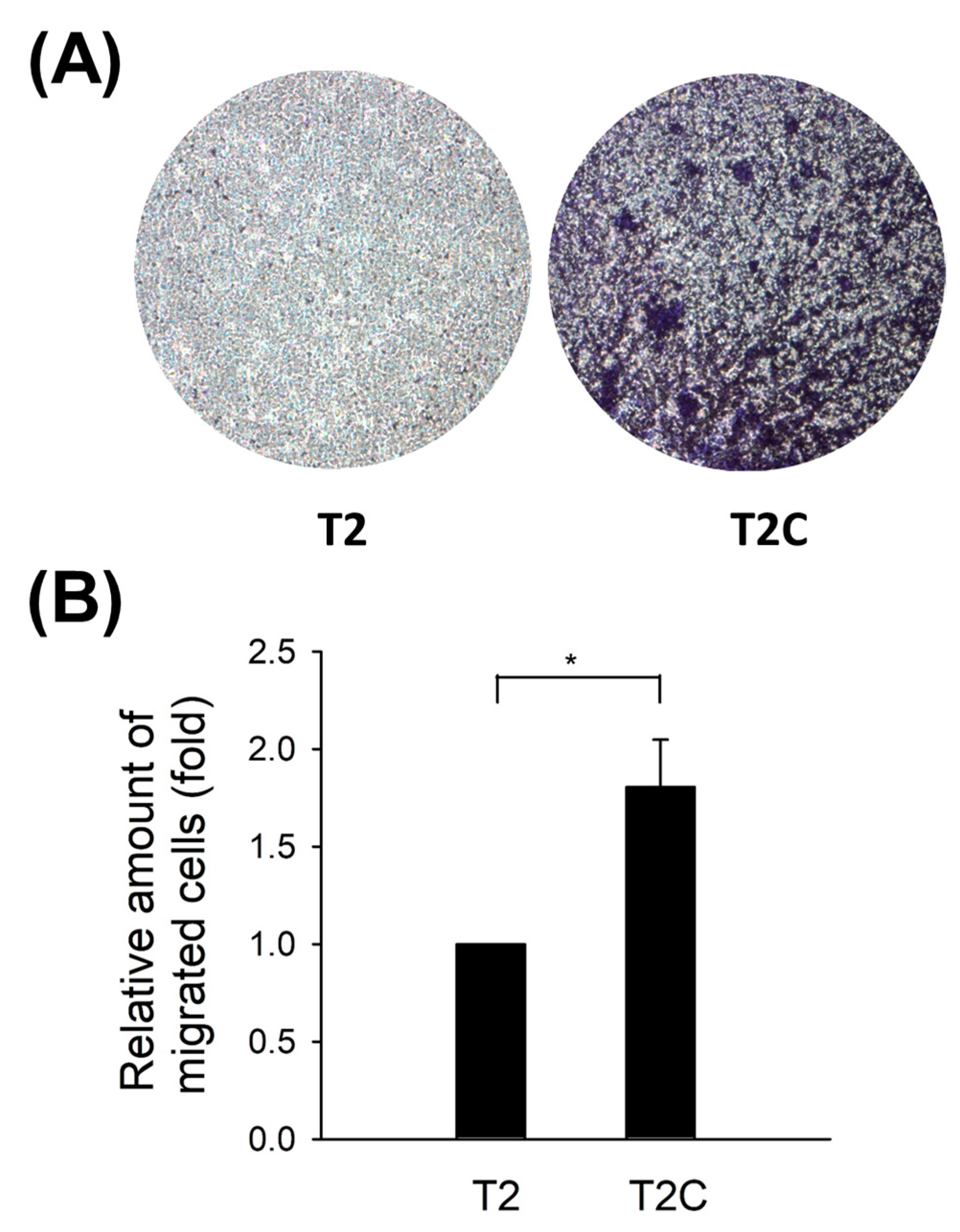 Medicina 57 00778 g002 550