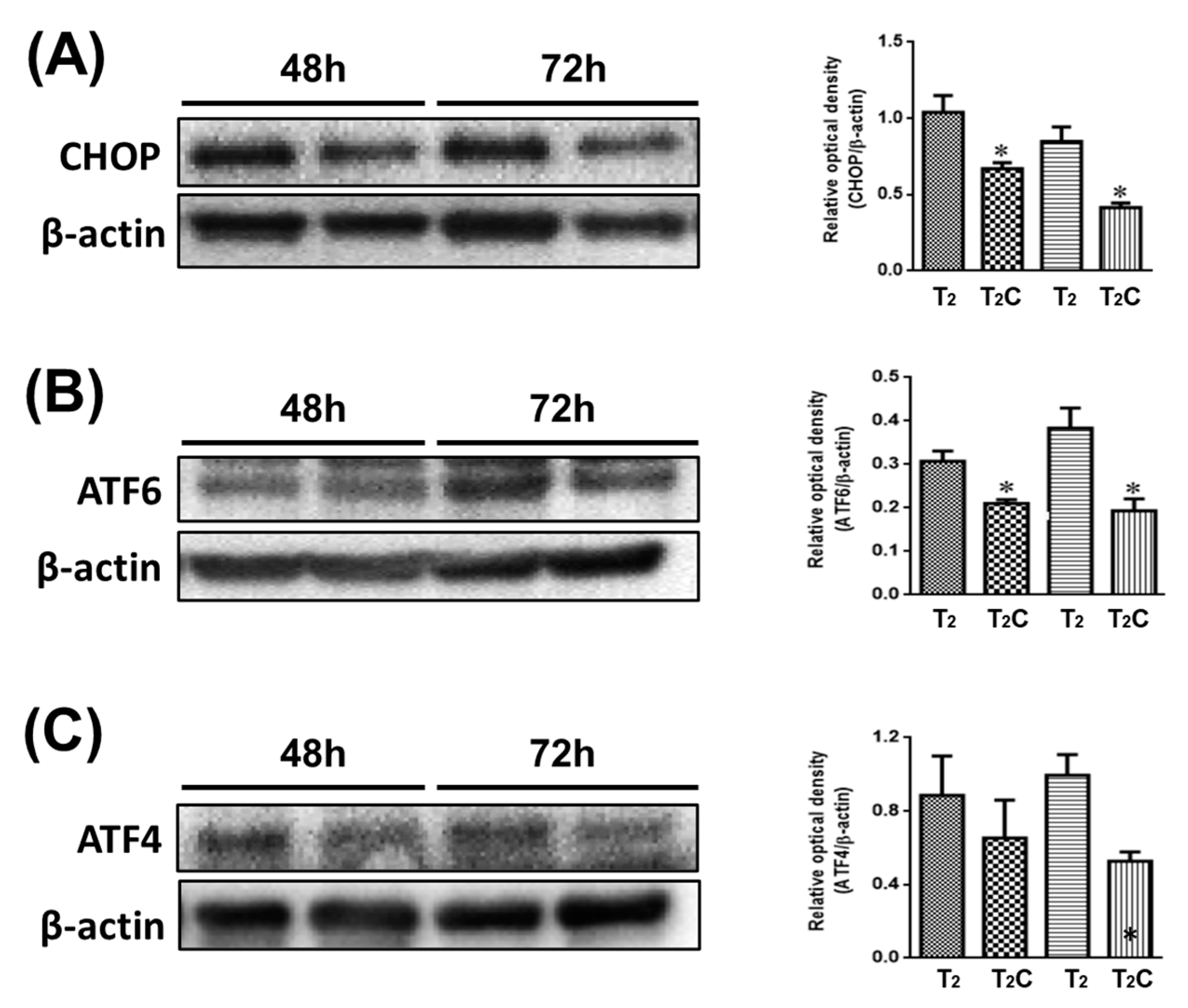 Medicina 57 00778 g005 550
