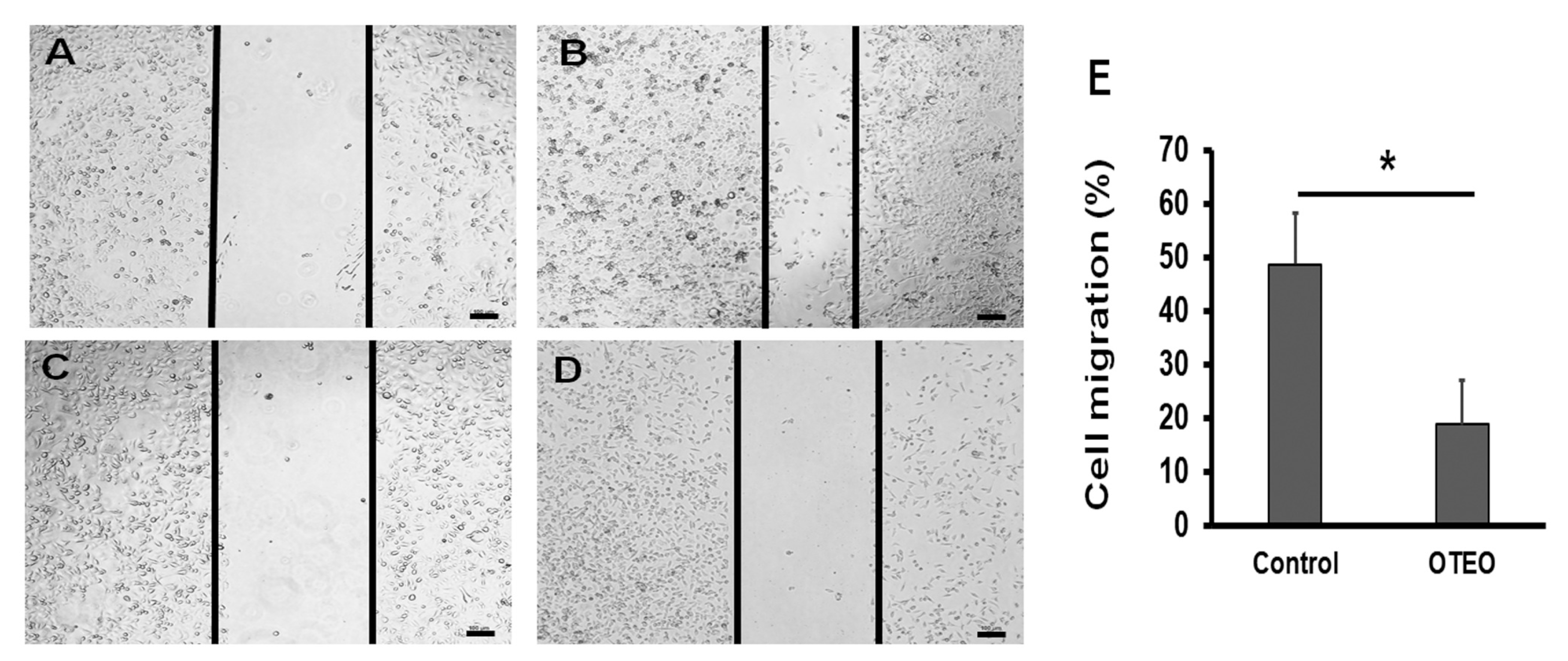 Medicina 57 00784 g002
