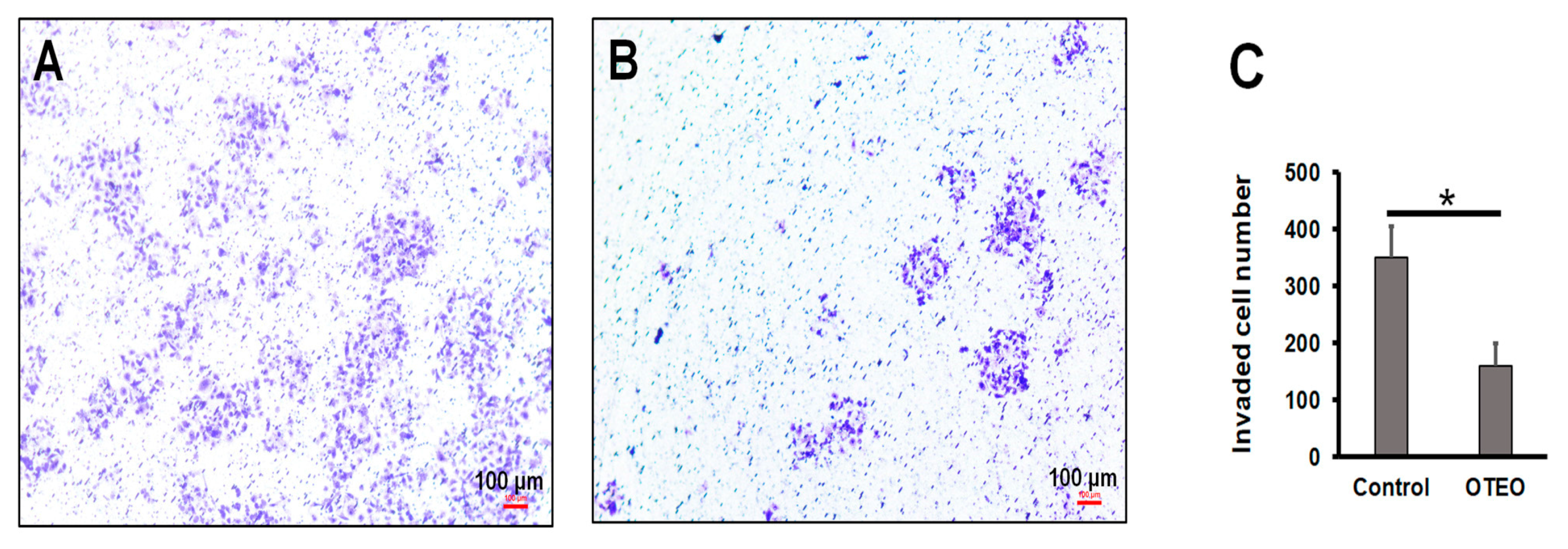 Medicina 57 00784 g003