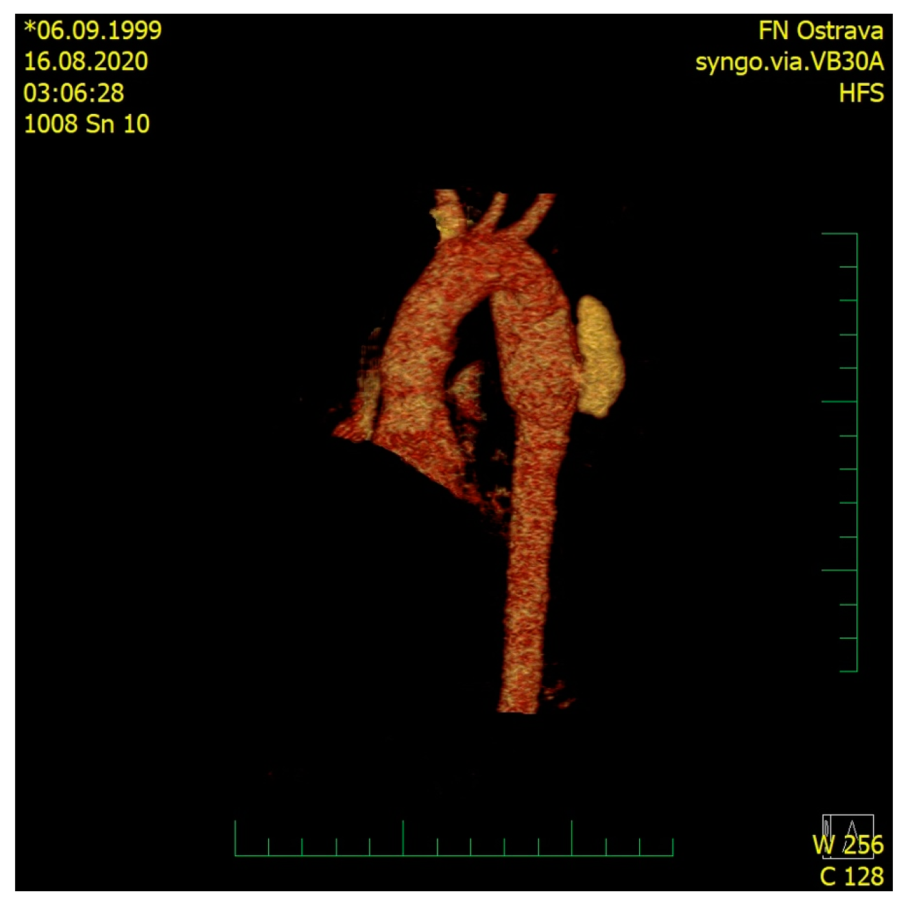 Medicina 57 00790 g001