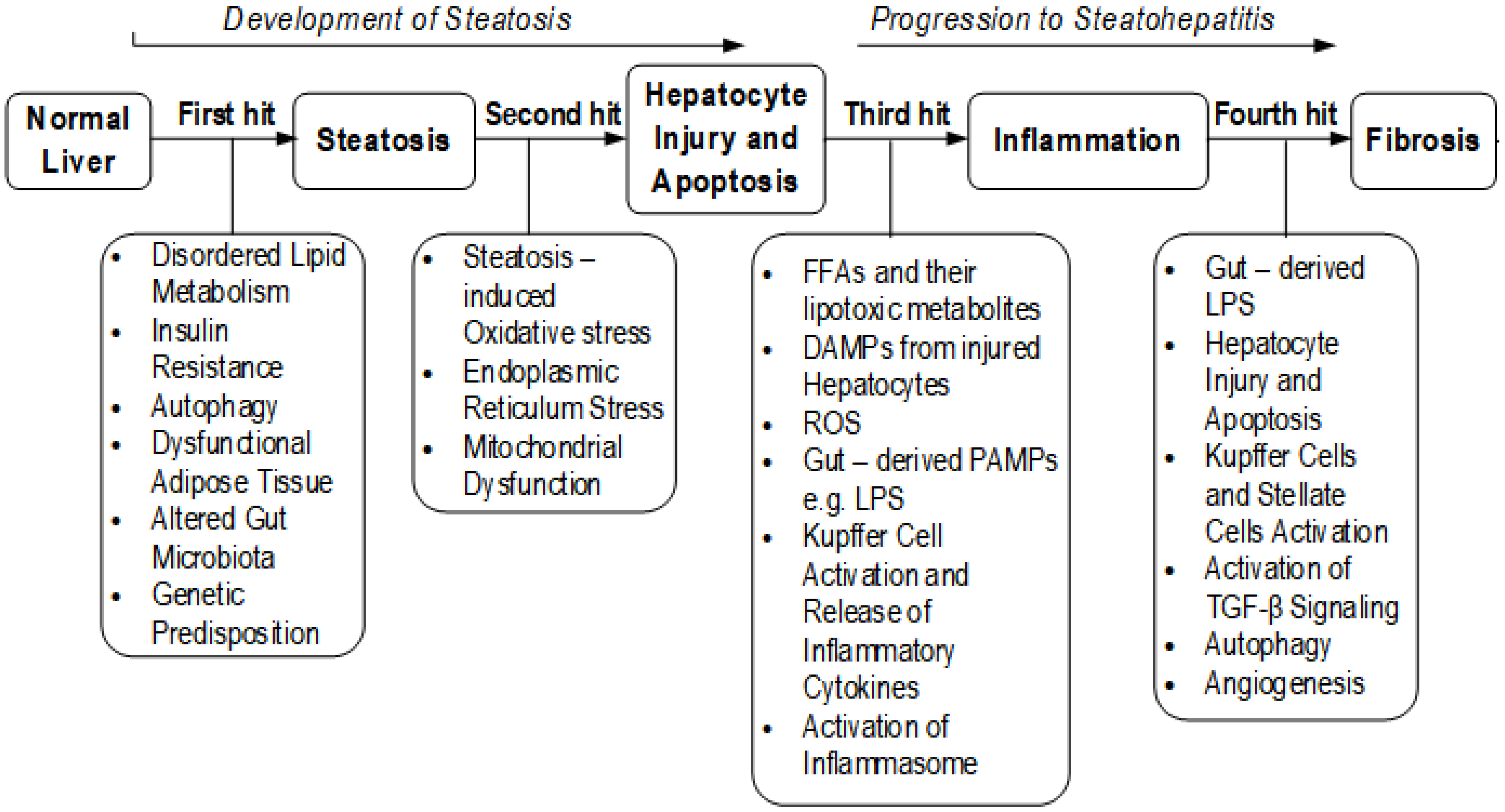 Medicina 57 00822 g001 550