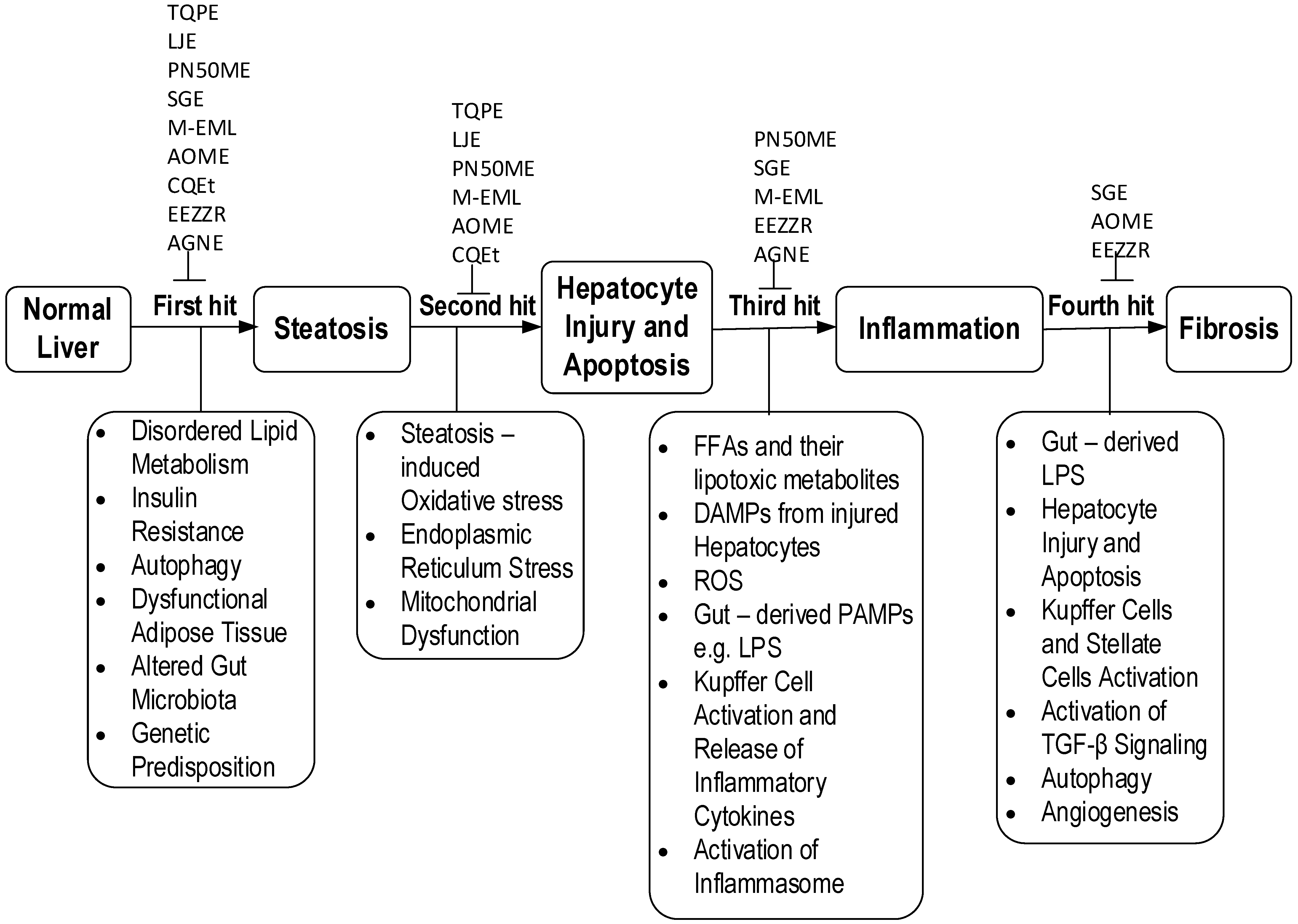 Medicina 57 00822 g003 550