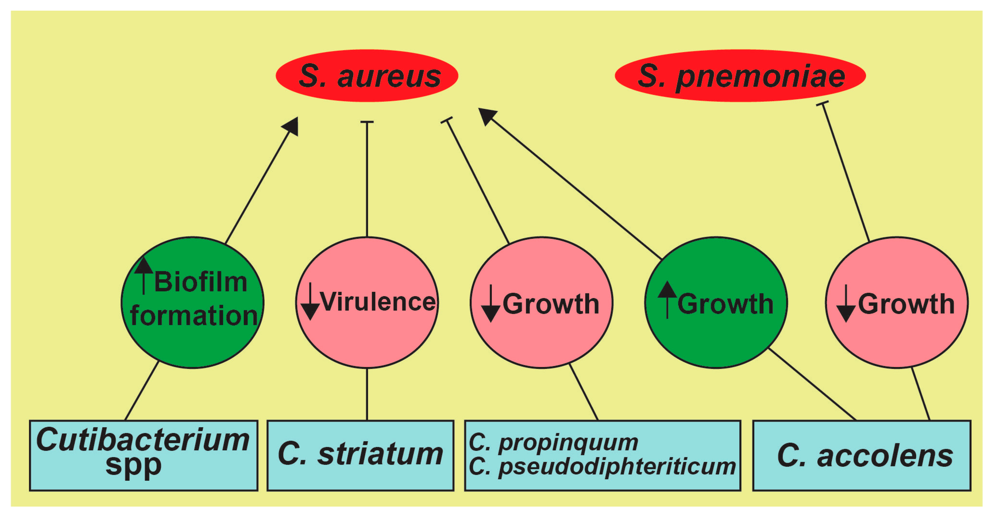 Medicina 57 00823 g002