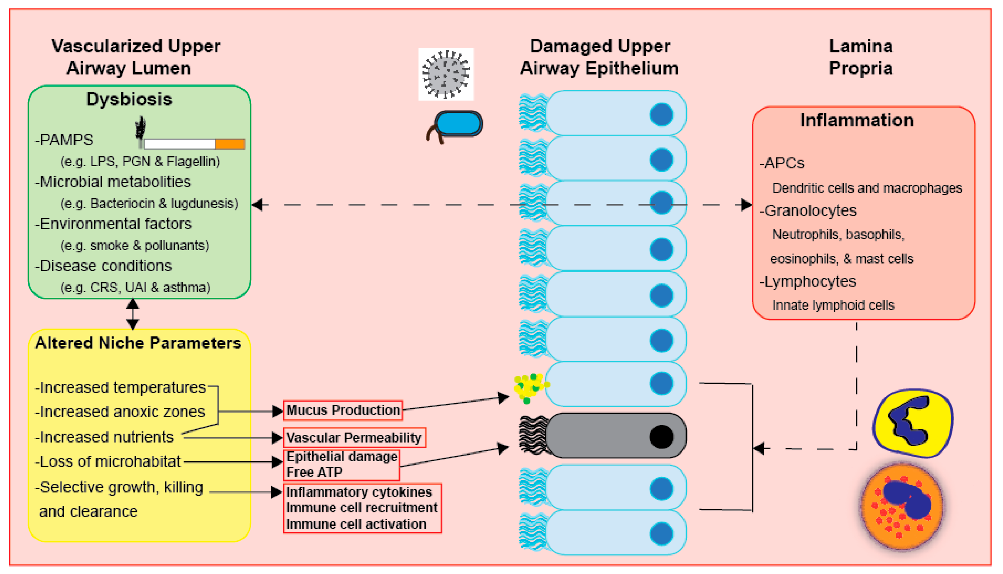 Medicina 57 00823 g003