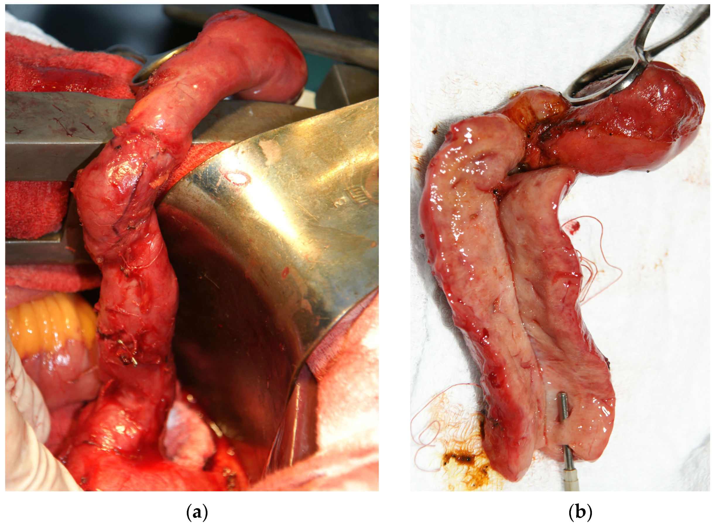 Medicina 57 00824 g001 550