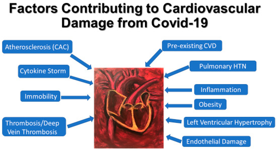 ーdkー Sirtuin 7 serves as a promising therapeutic target for