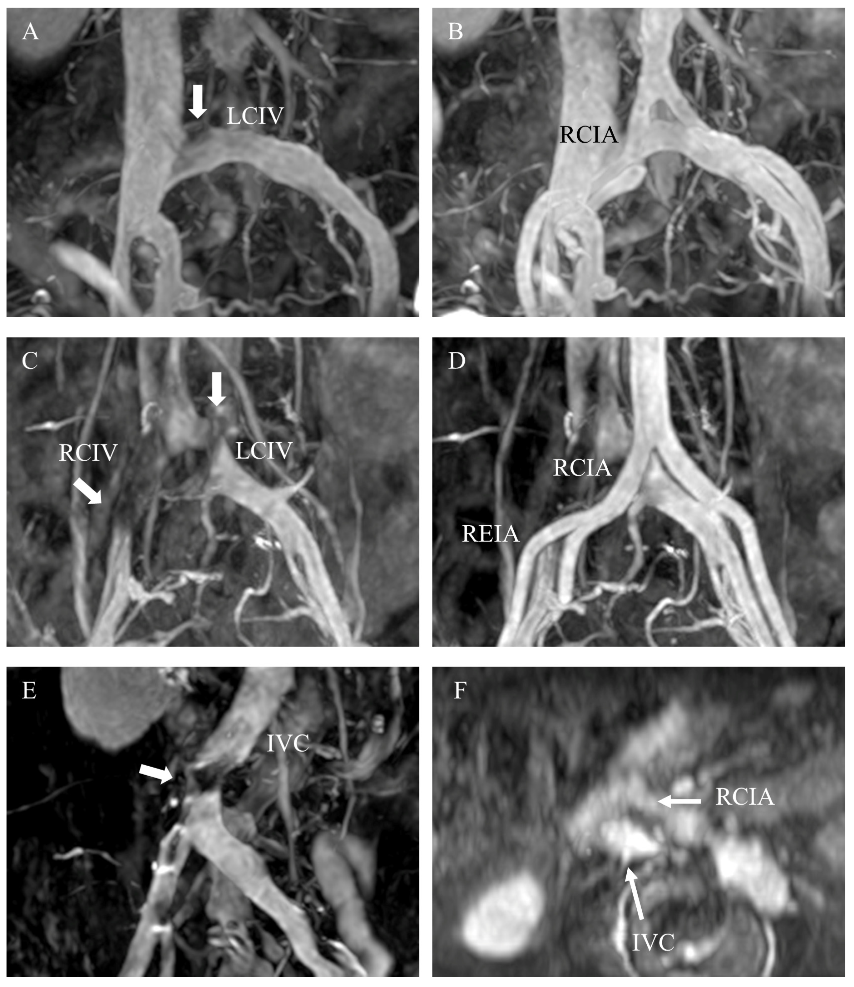 Medicina 57 00835 g002