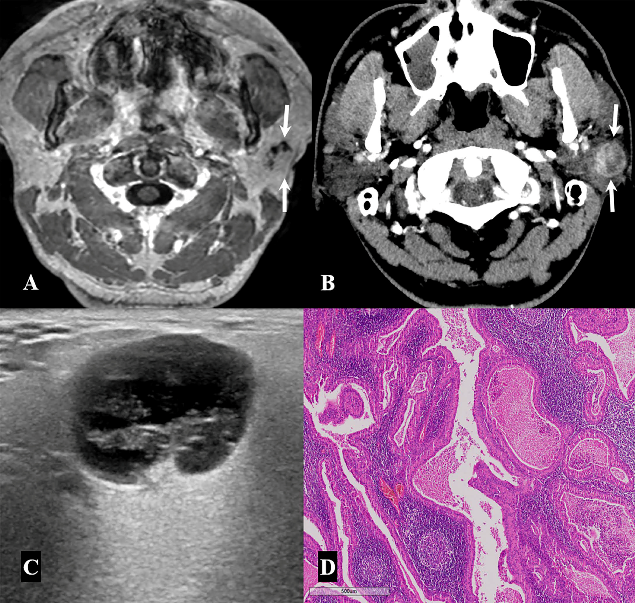 Medicina 57 00836 g002 550