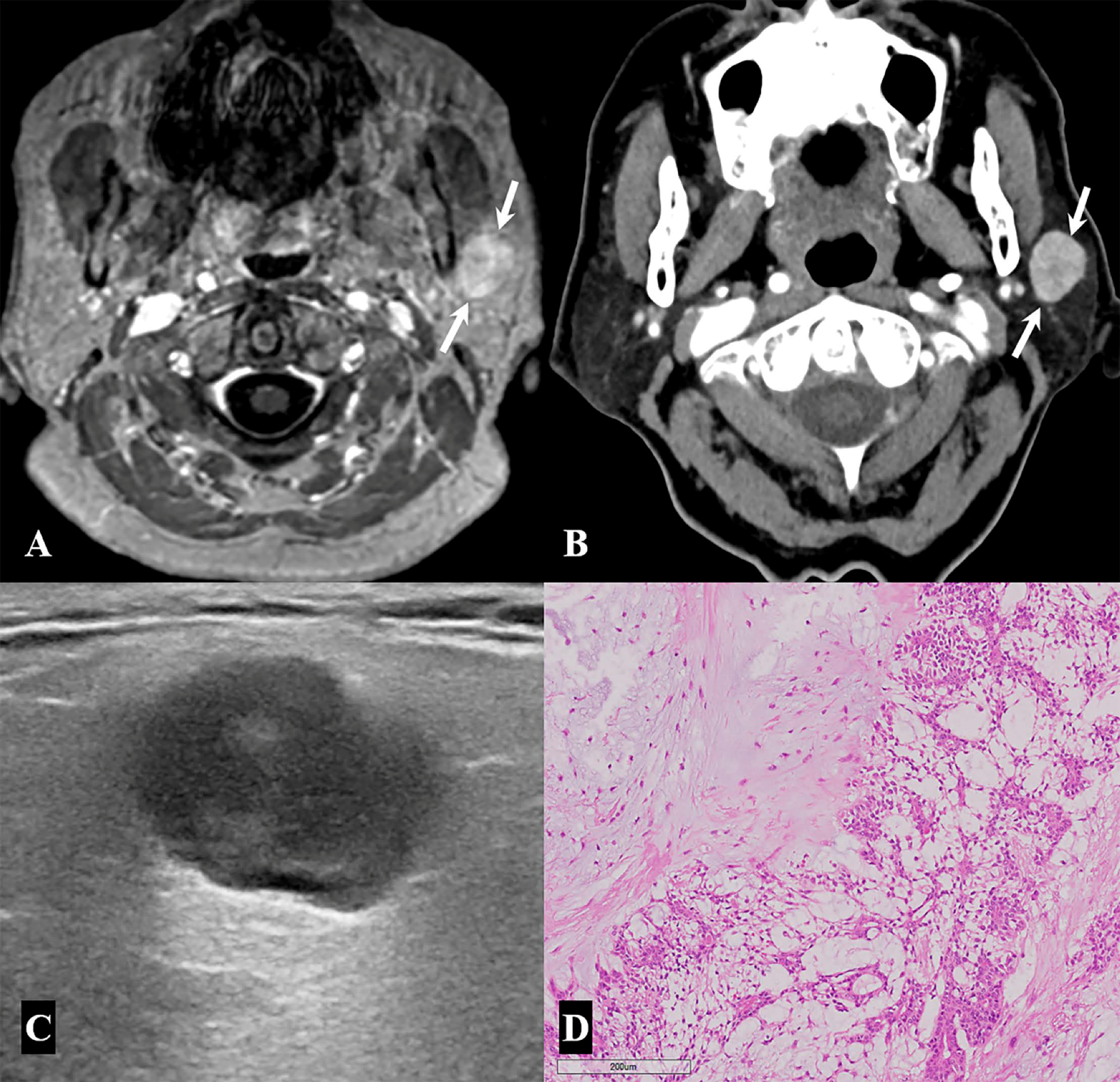Medicina 57 00836 g003 550