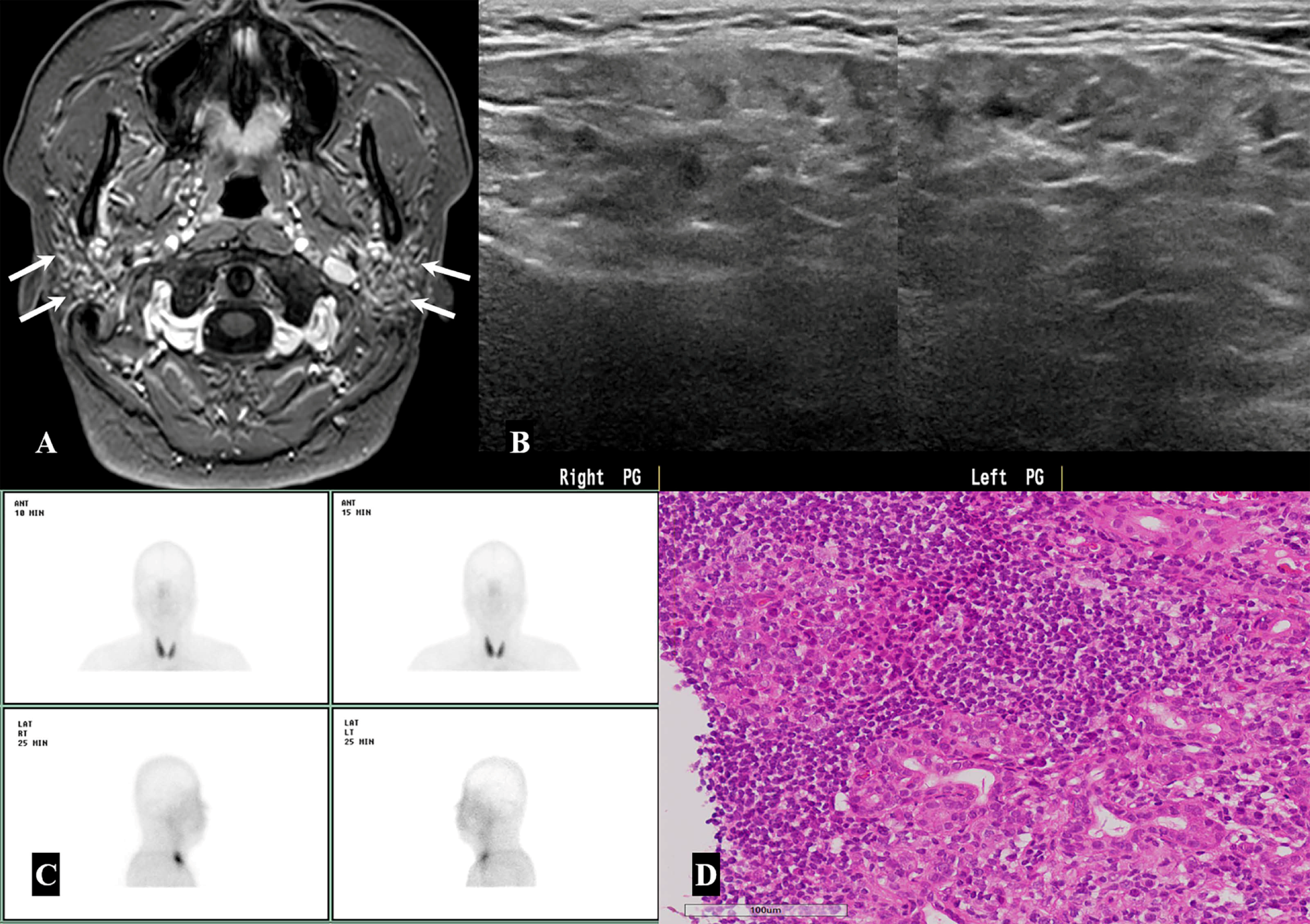 Medicina 57 00836 g004 550