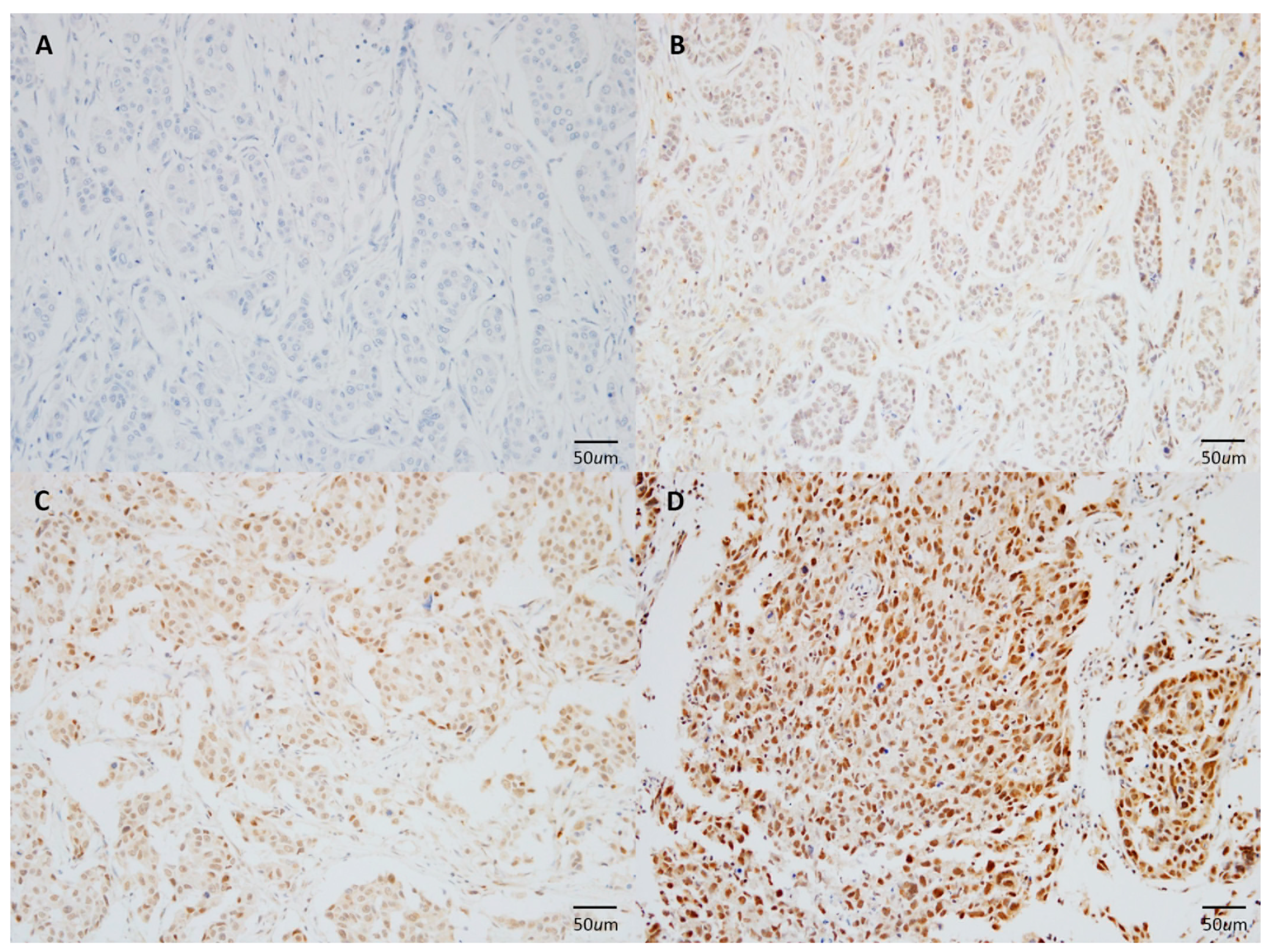 Medicina 57 00837 g001 550